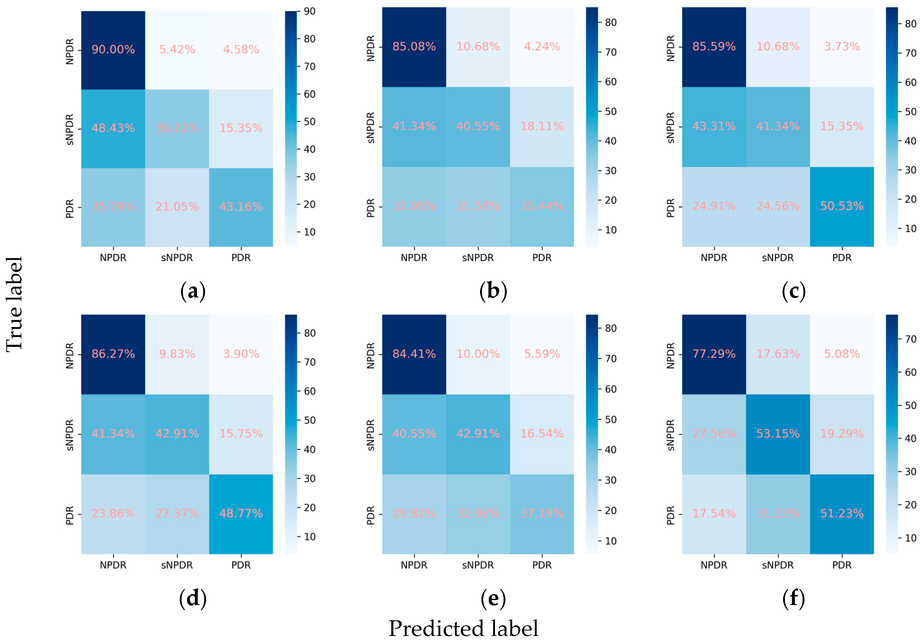 Diagnostics 14 00121 g005