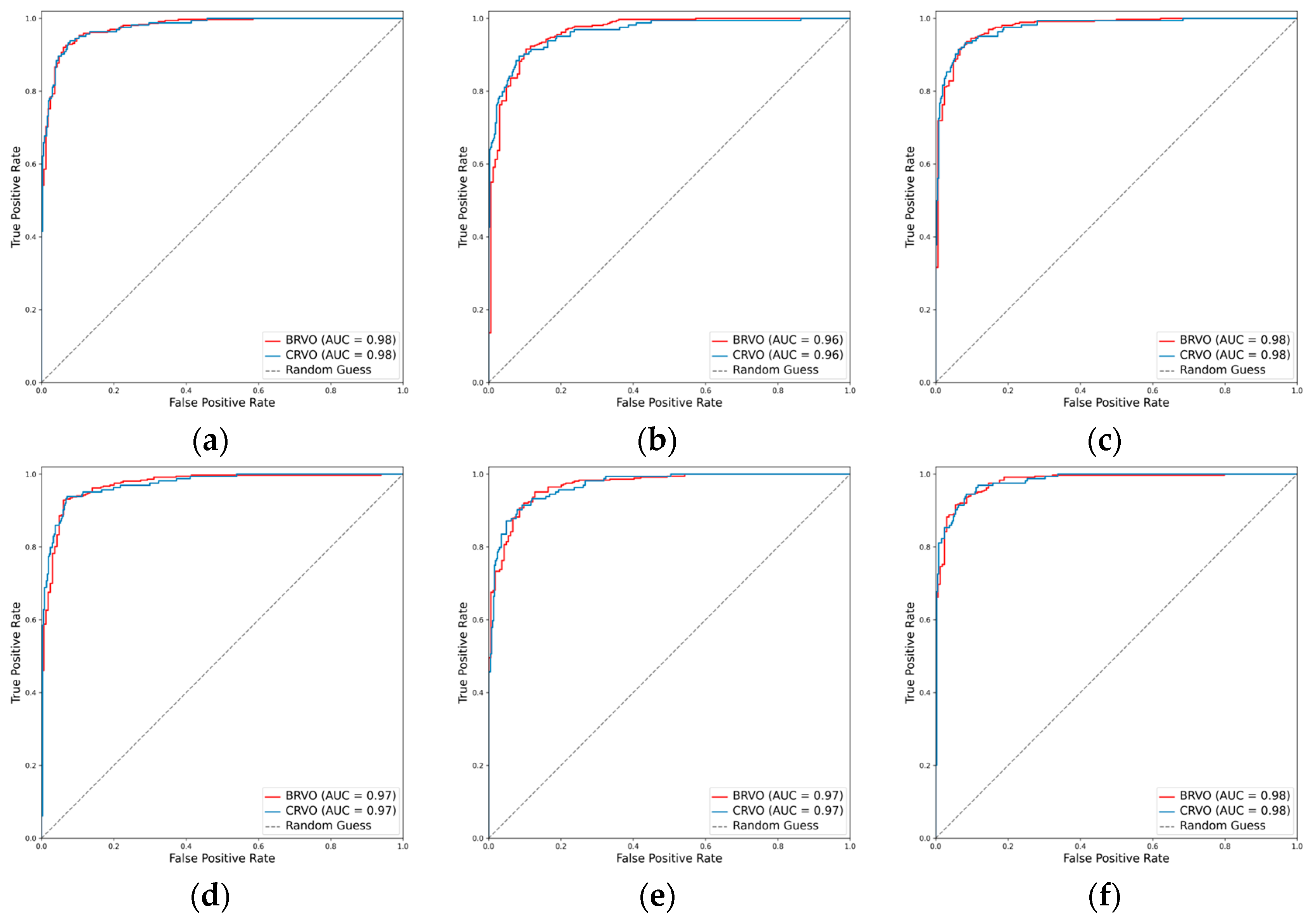 Diagnostics 14 00121 g006