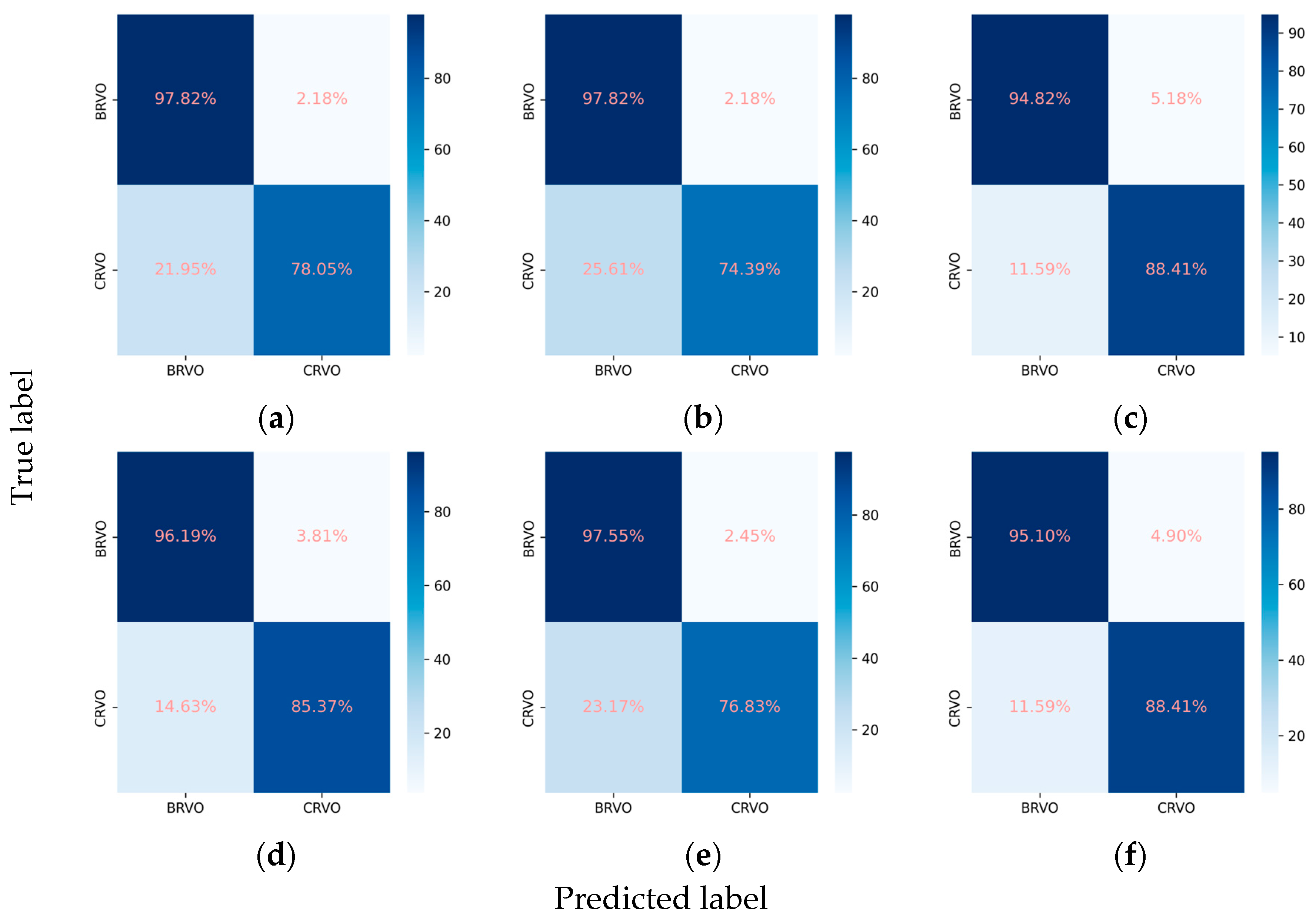 Diagnostics 14 00121 g007