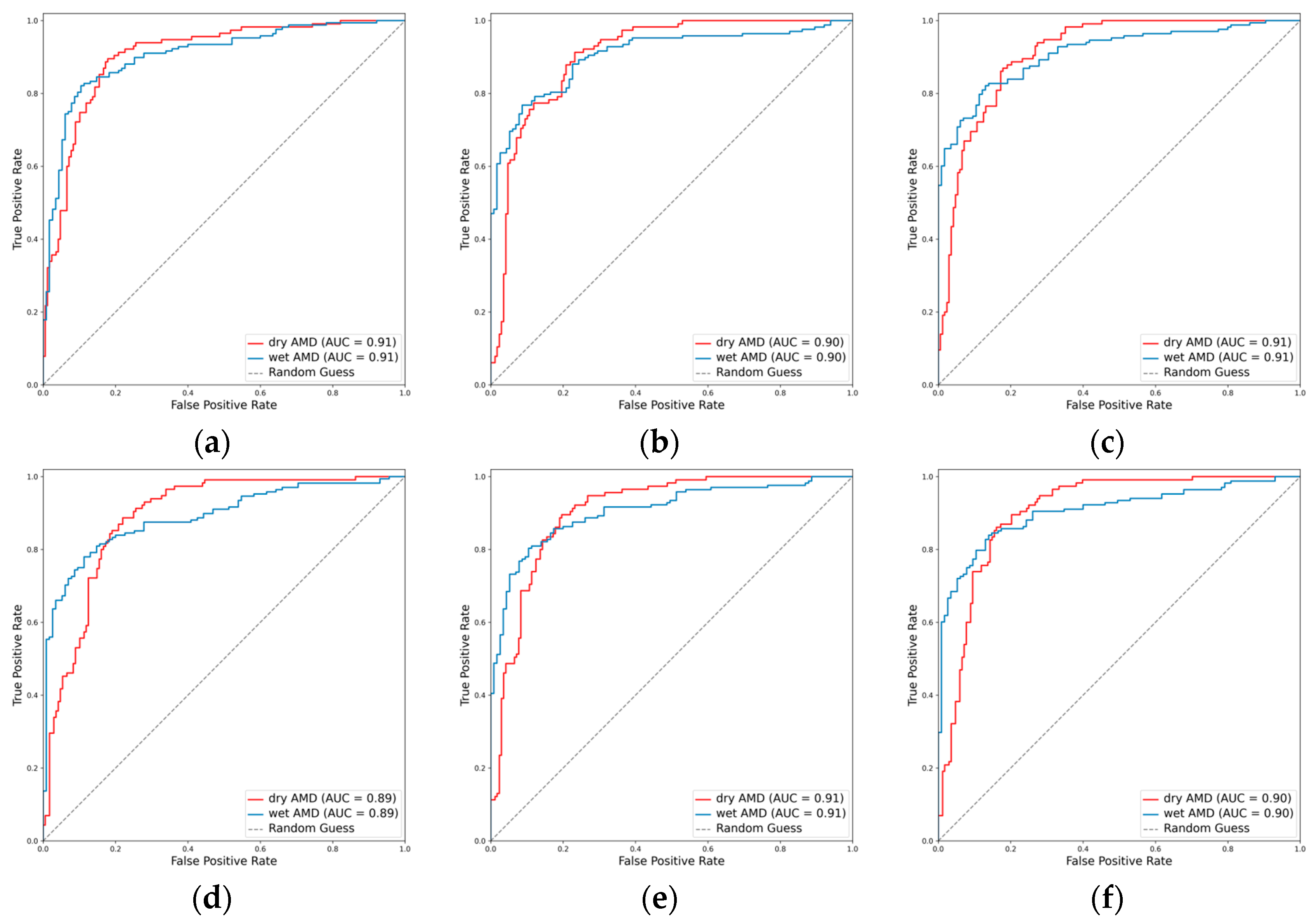 Diagnostics 14 00121 g008