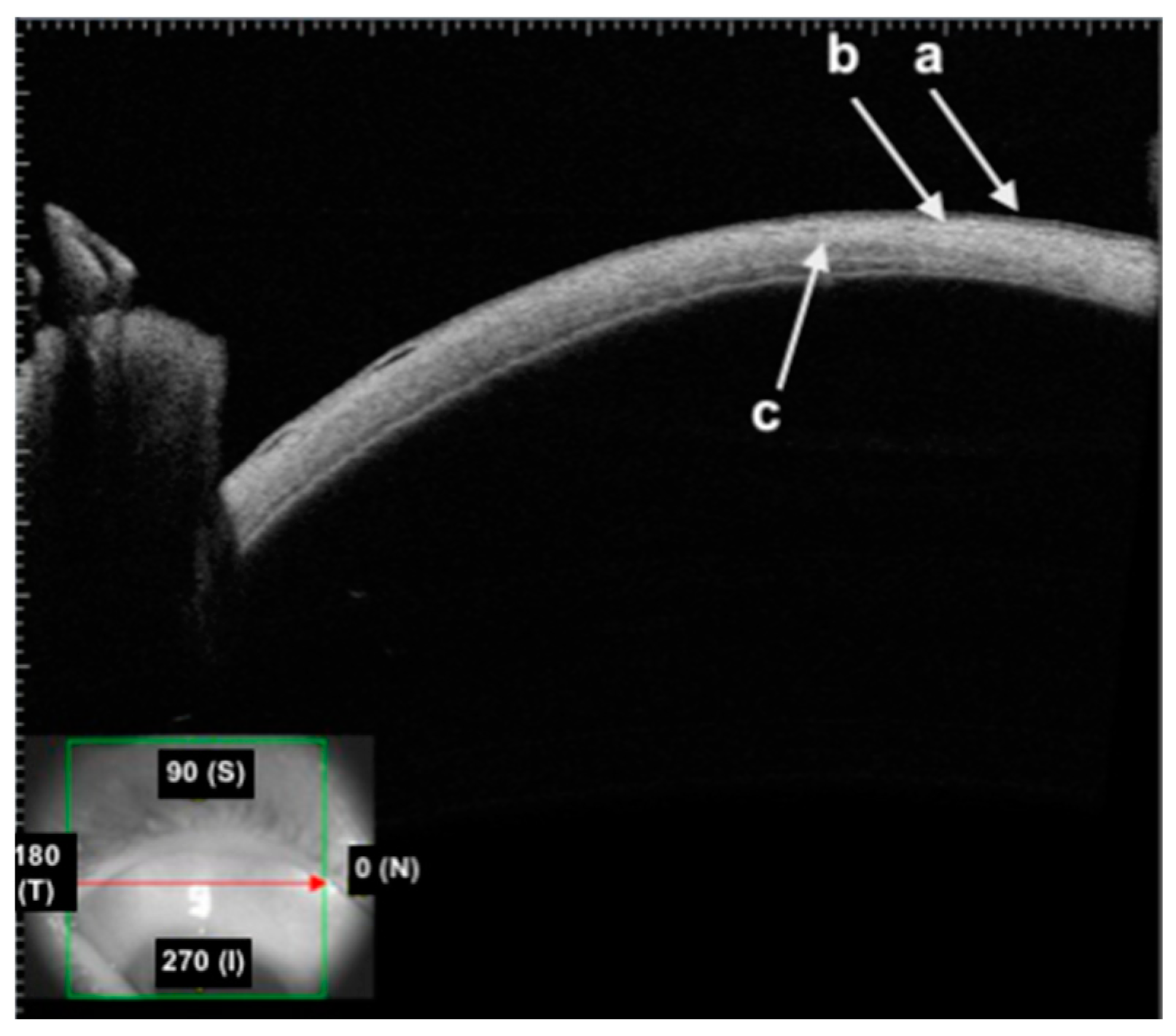 Diagnostics 14 00122 g002