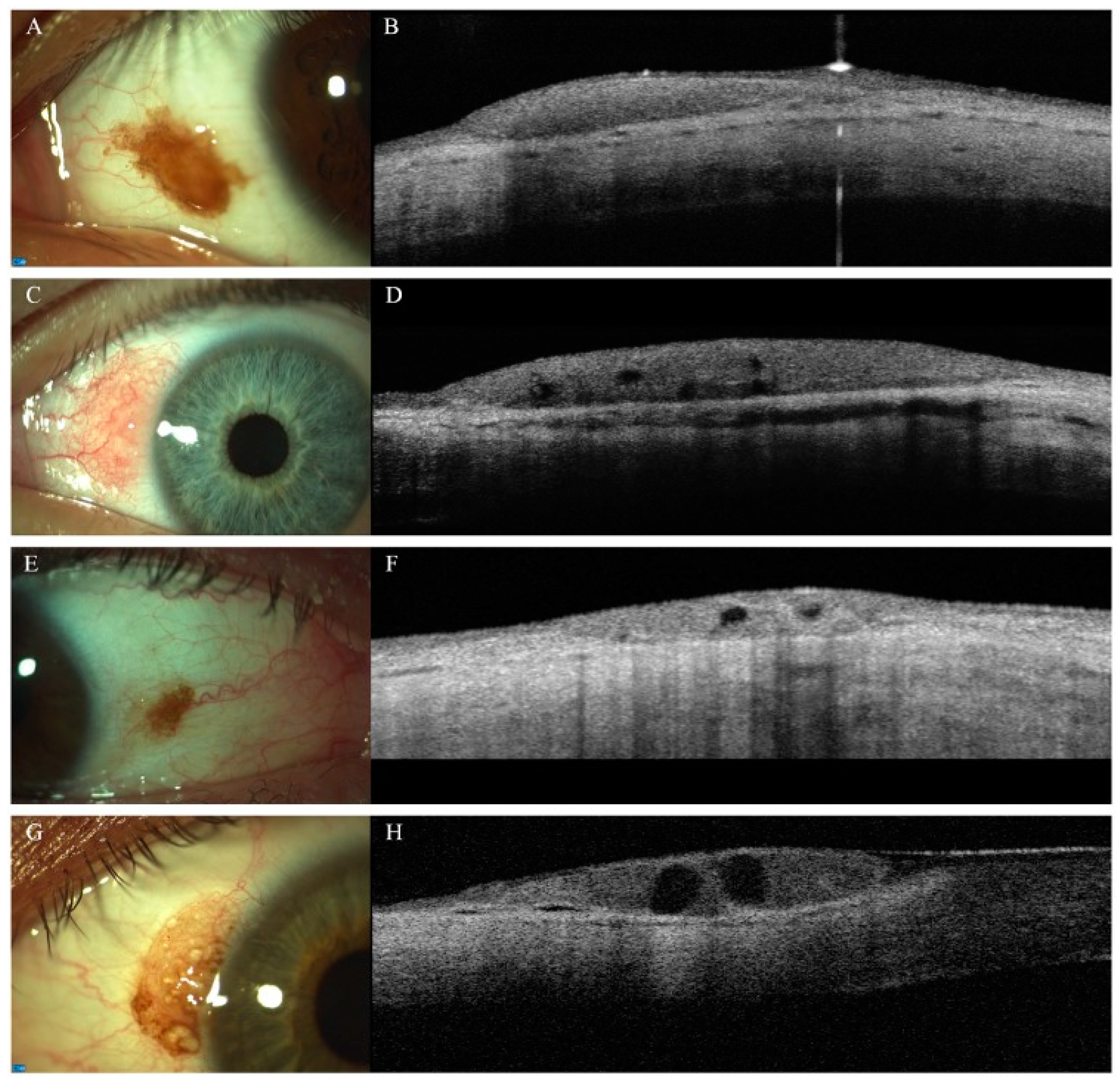 Diagnostics 14 00122 g003