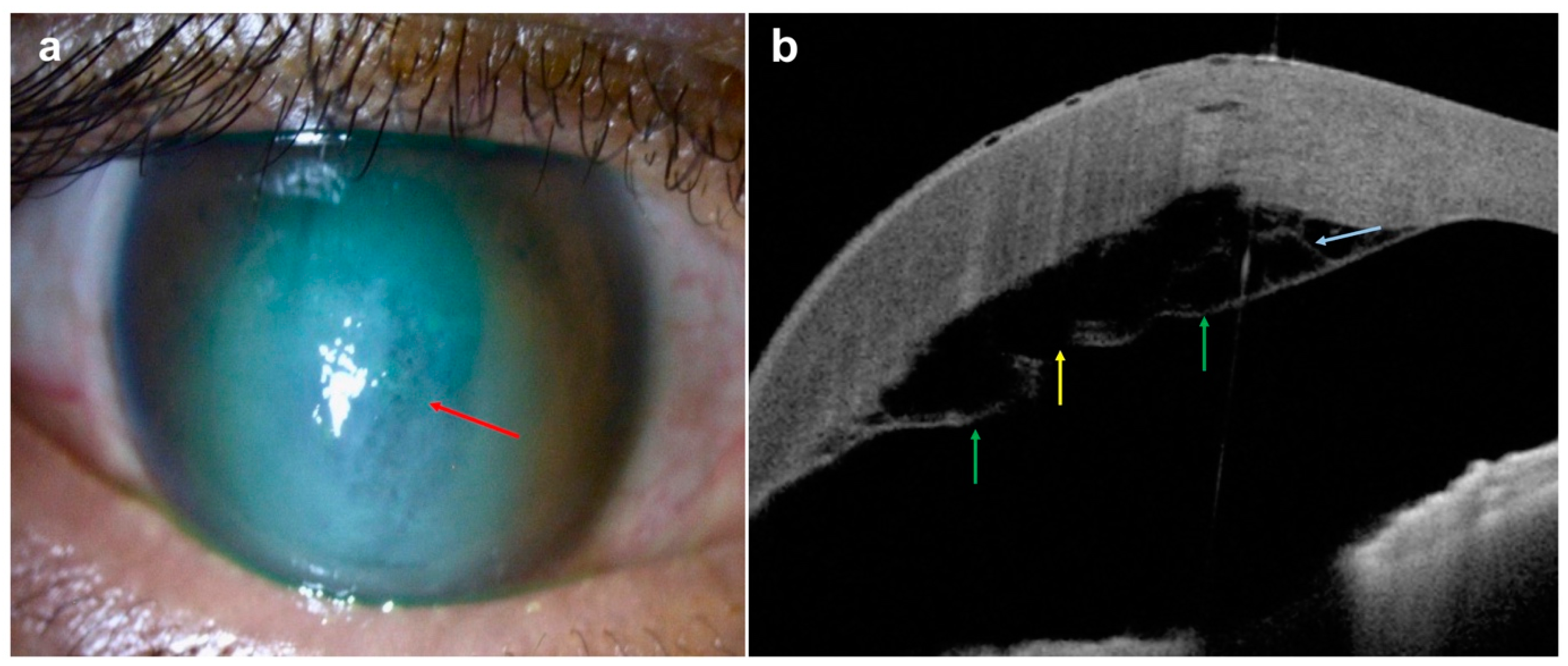 Diagnostics 14 00122 g008