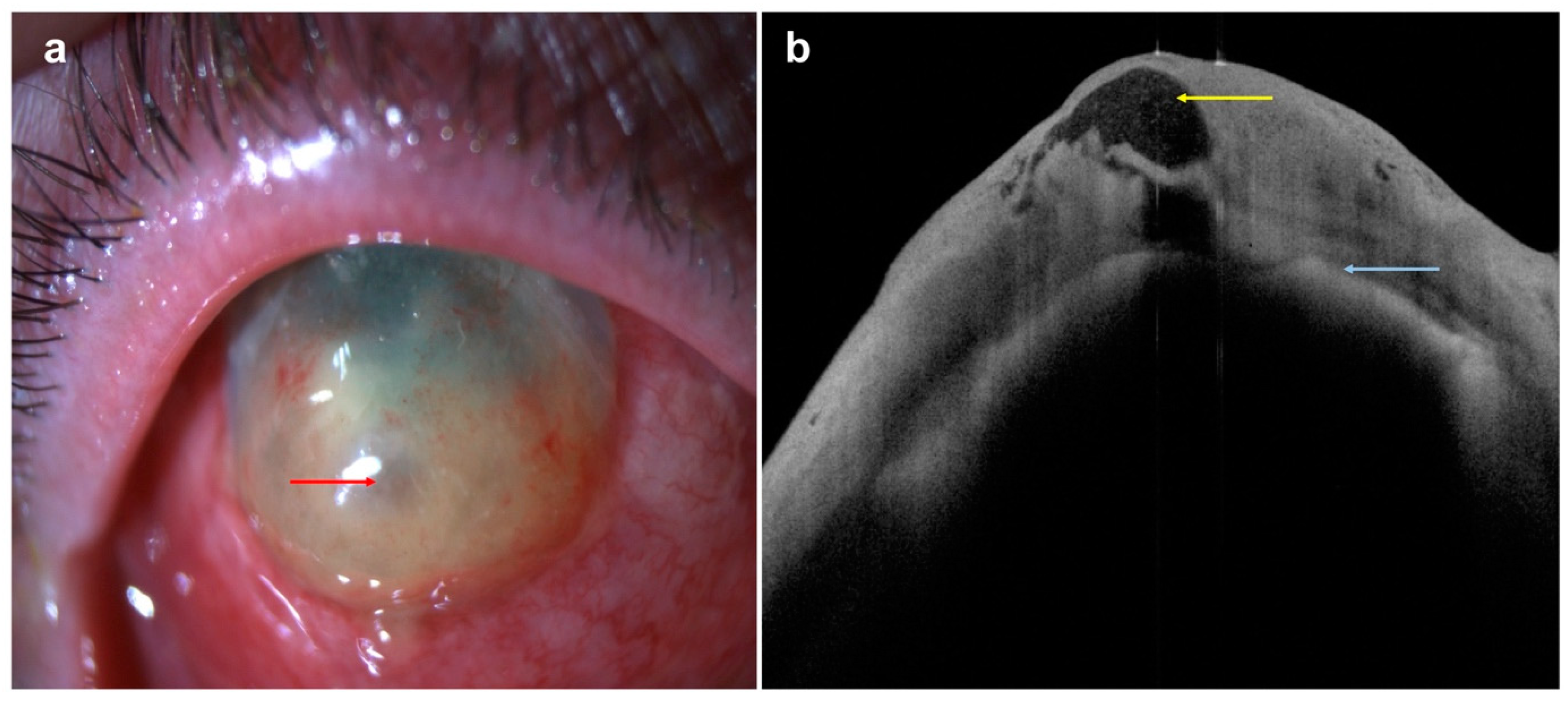 Diagnostics 14 00122 g009