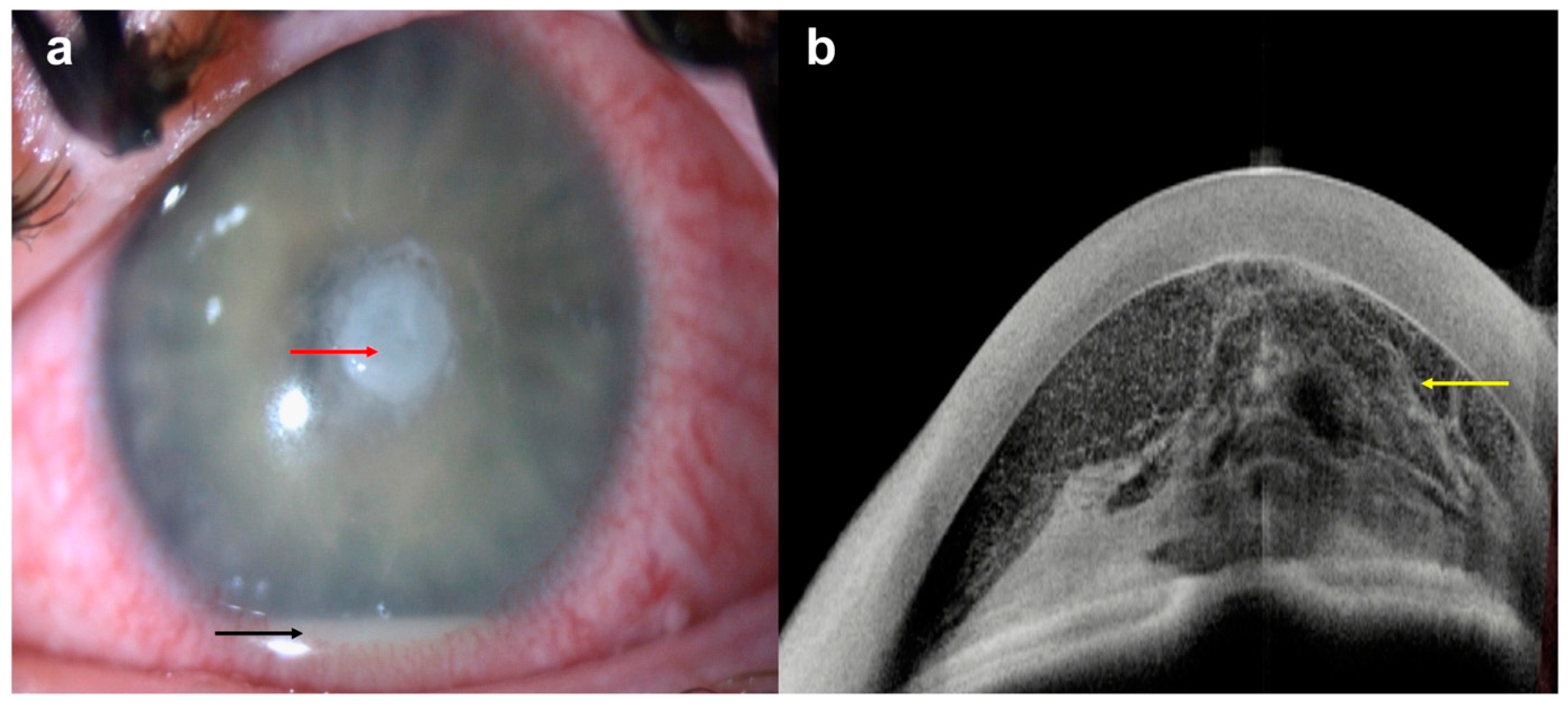 Diagnostics 14 00122 g010