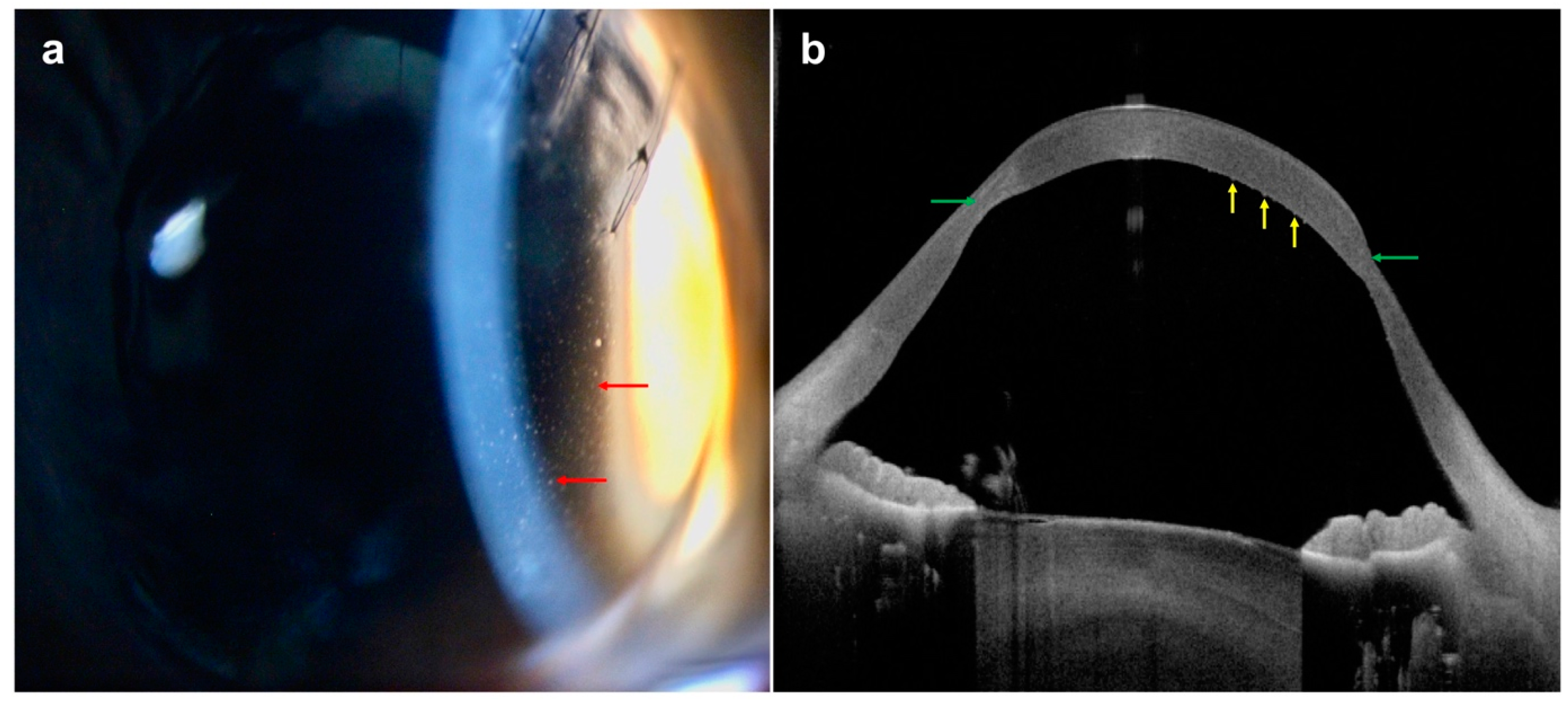 Diagnostics 14 00122 g012