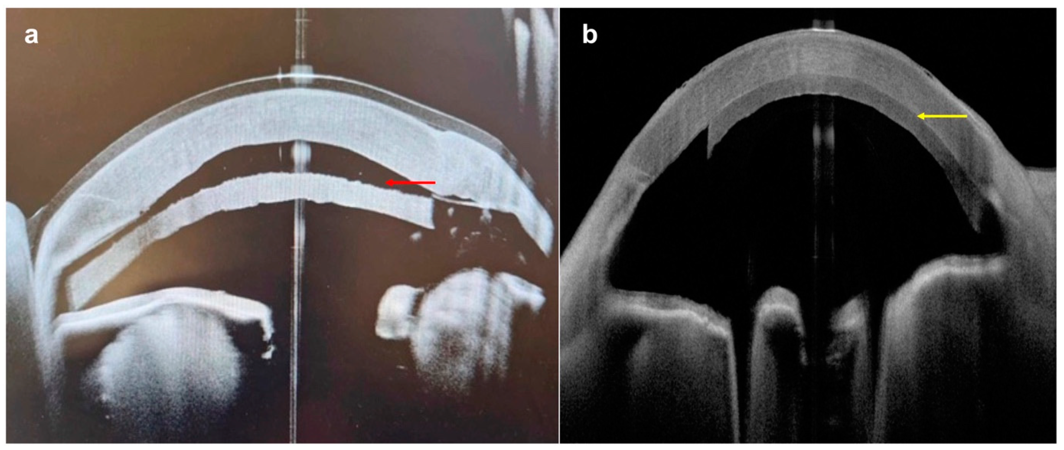 Diagnostics 14 00122 g013