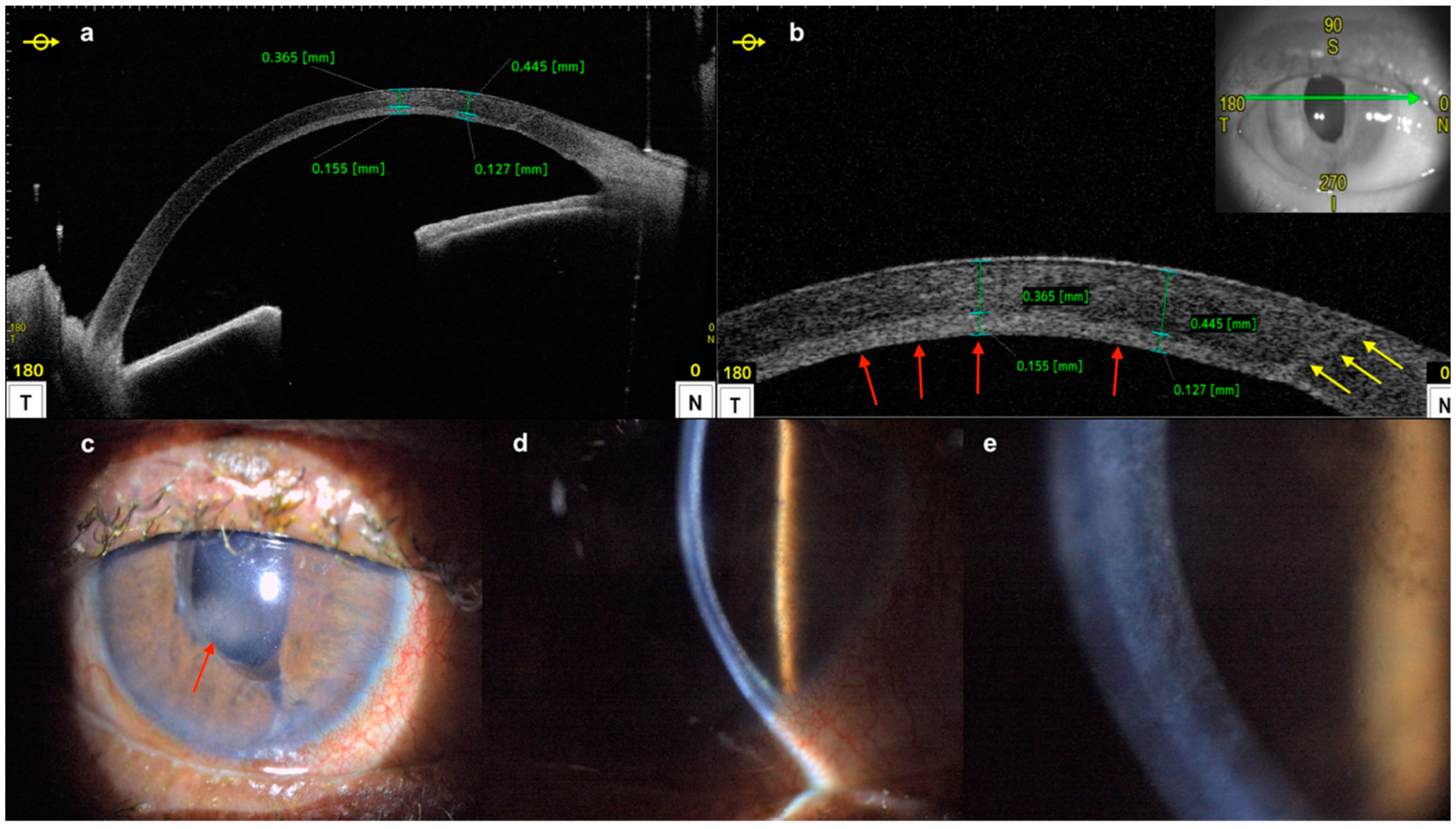 Diagnostics 14 00122 g016
