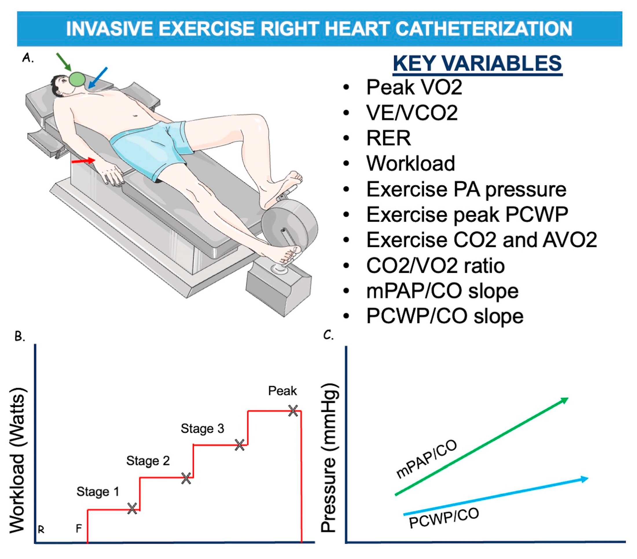 Diagnostics 14 00136 g003
