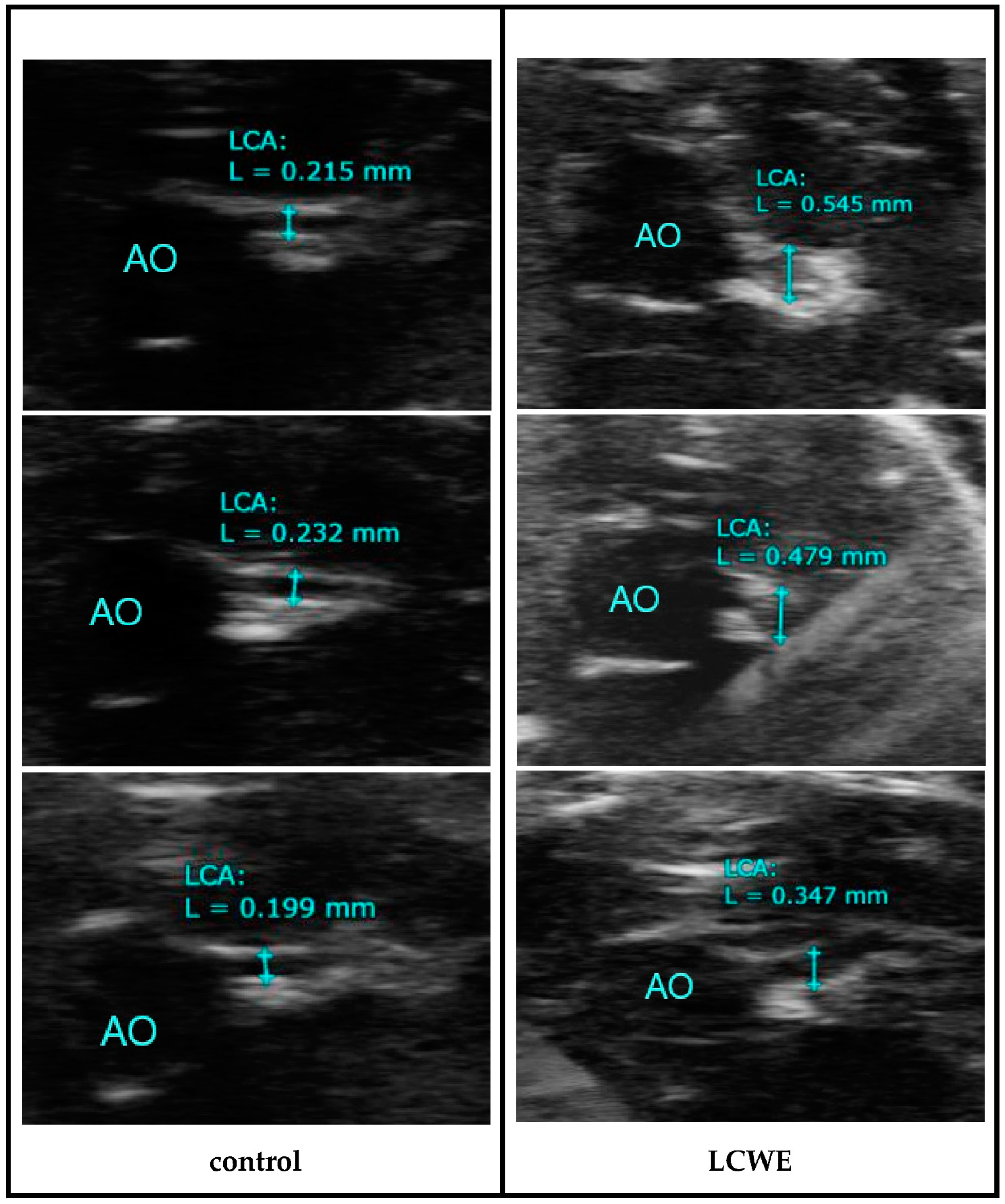 Diagnostics 14 00145 g002