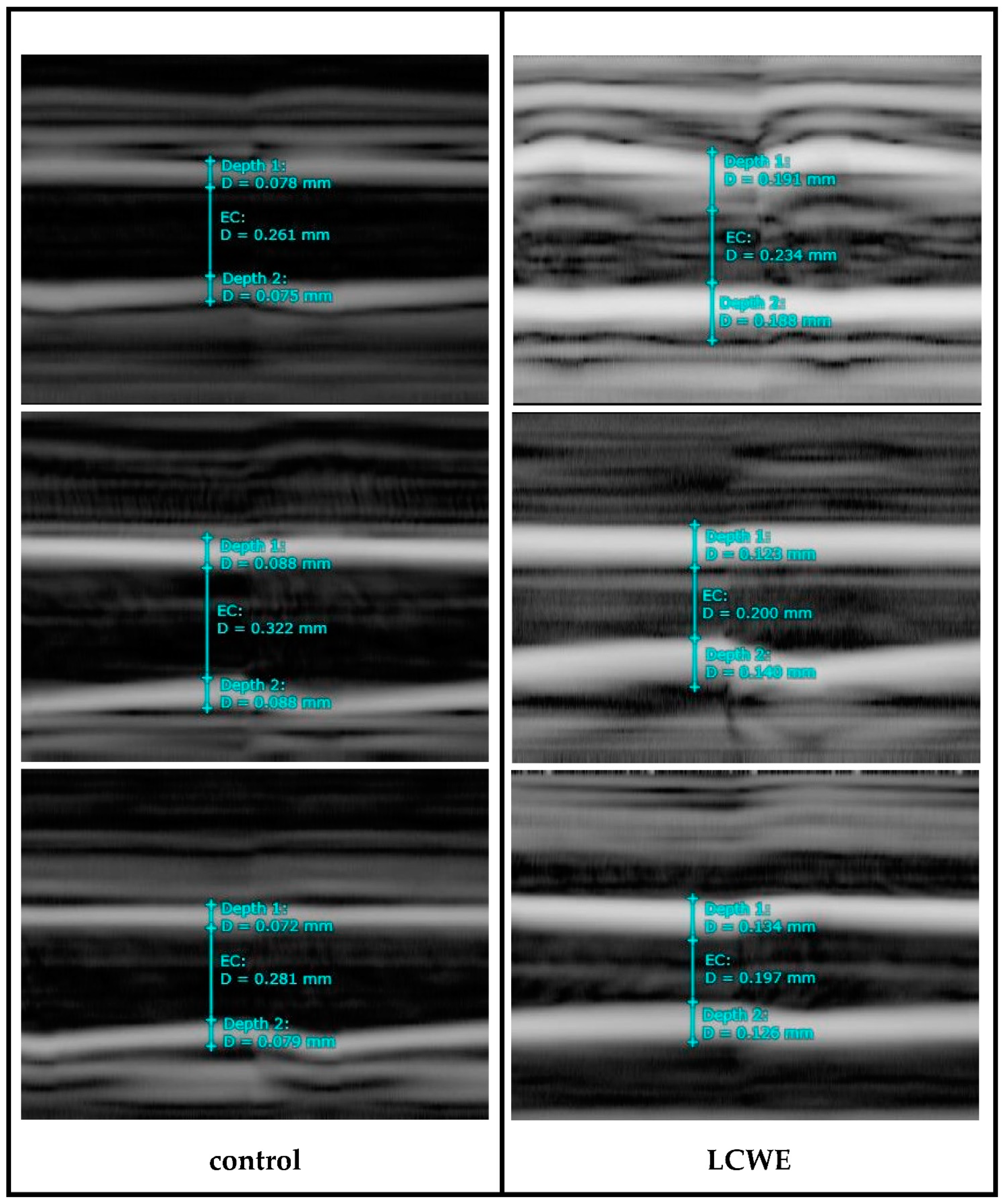 Diagnostics 14 00145 g003