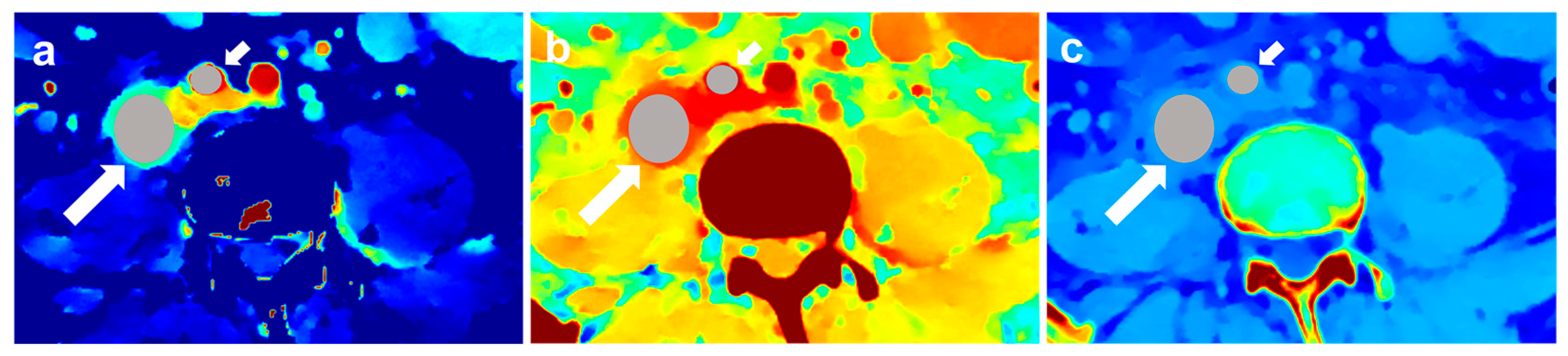 Diagnostics 14 00149 g002