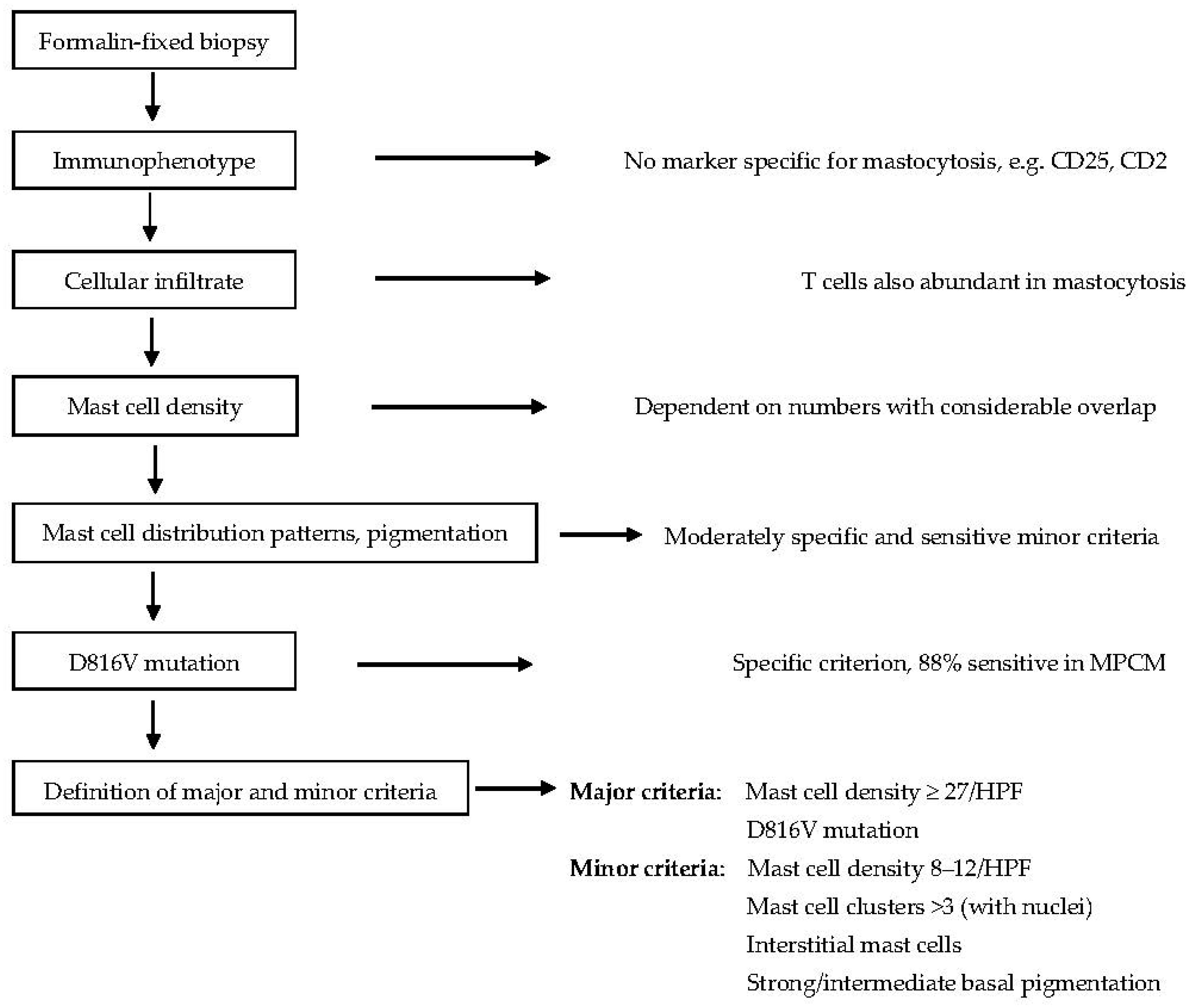 Diagnostics 14 00161 g004