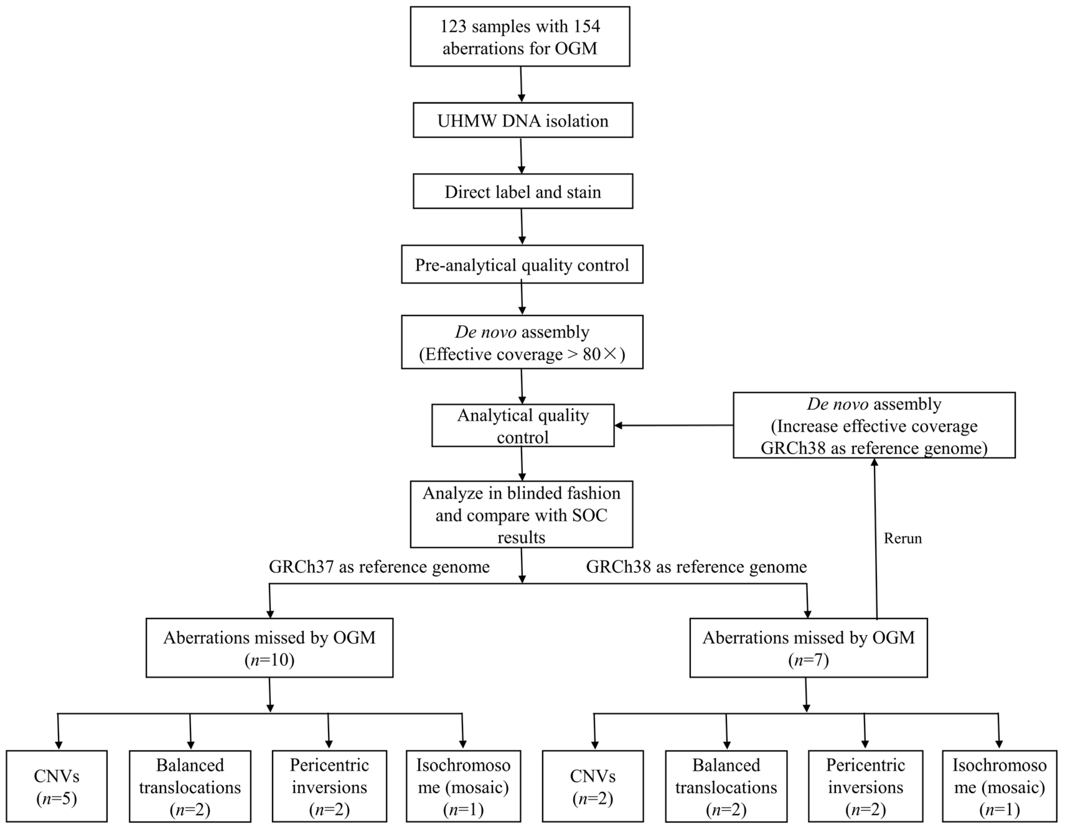 Diagnostics 14 00165 g001
