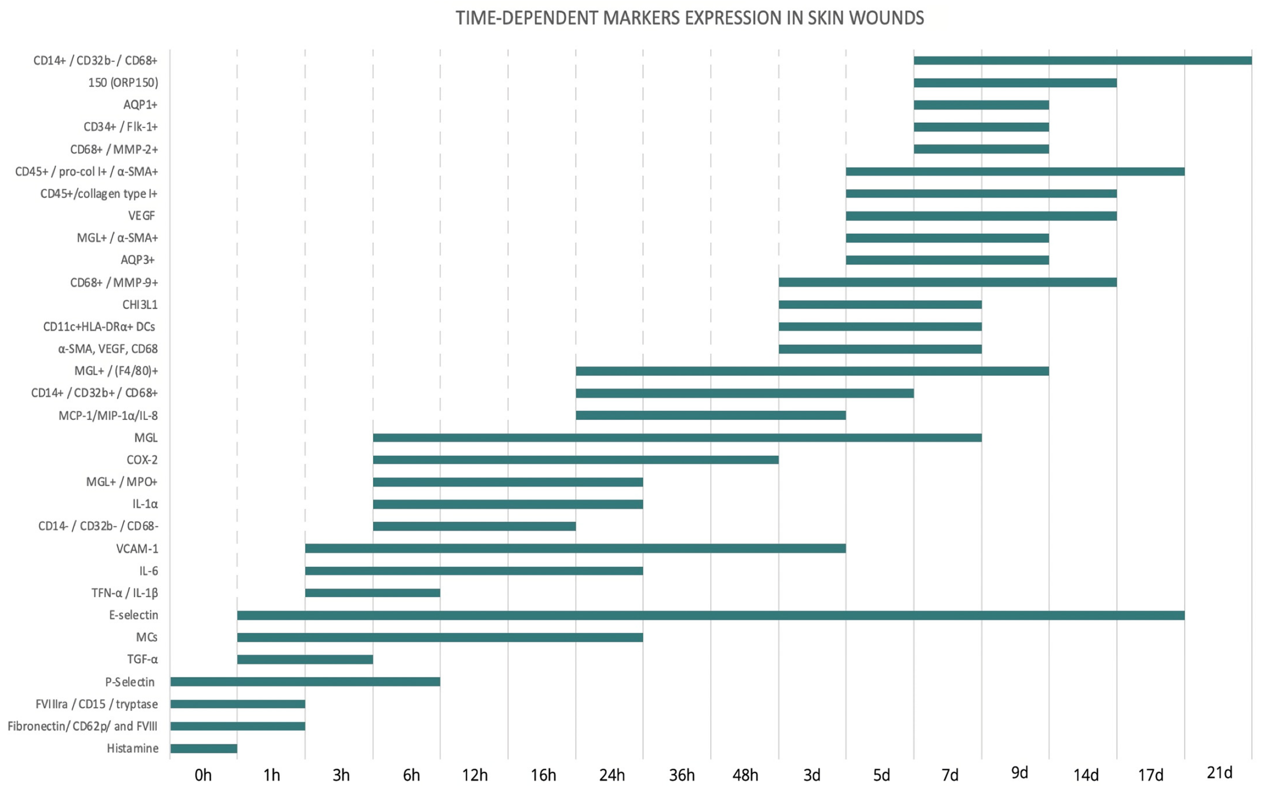 Diagnostics 14 00168 g002