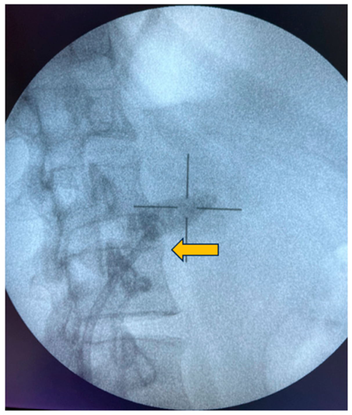 Diagnostics 14 00172 g001