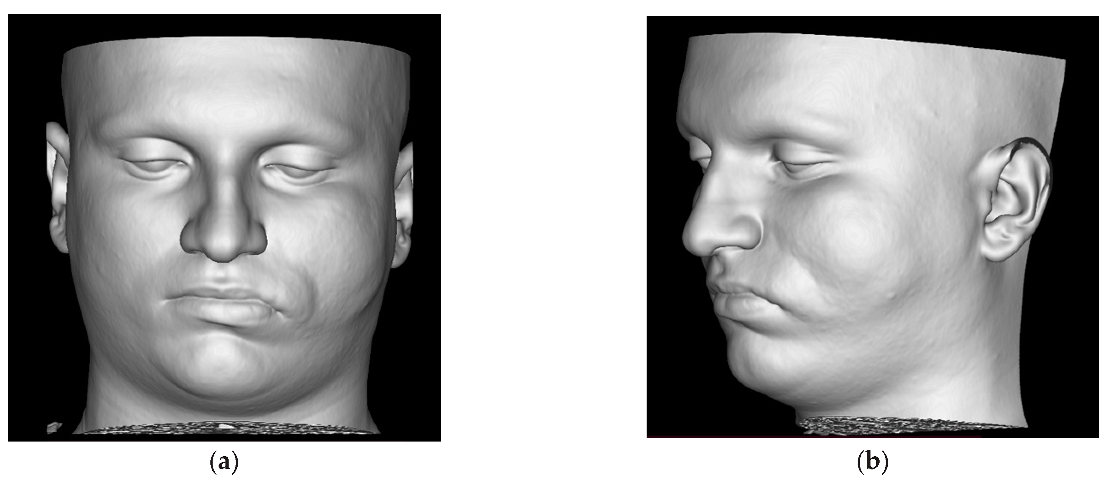 Diagnostics 14 00176 g001a