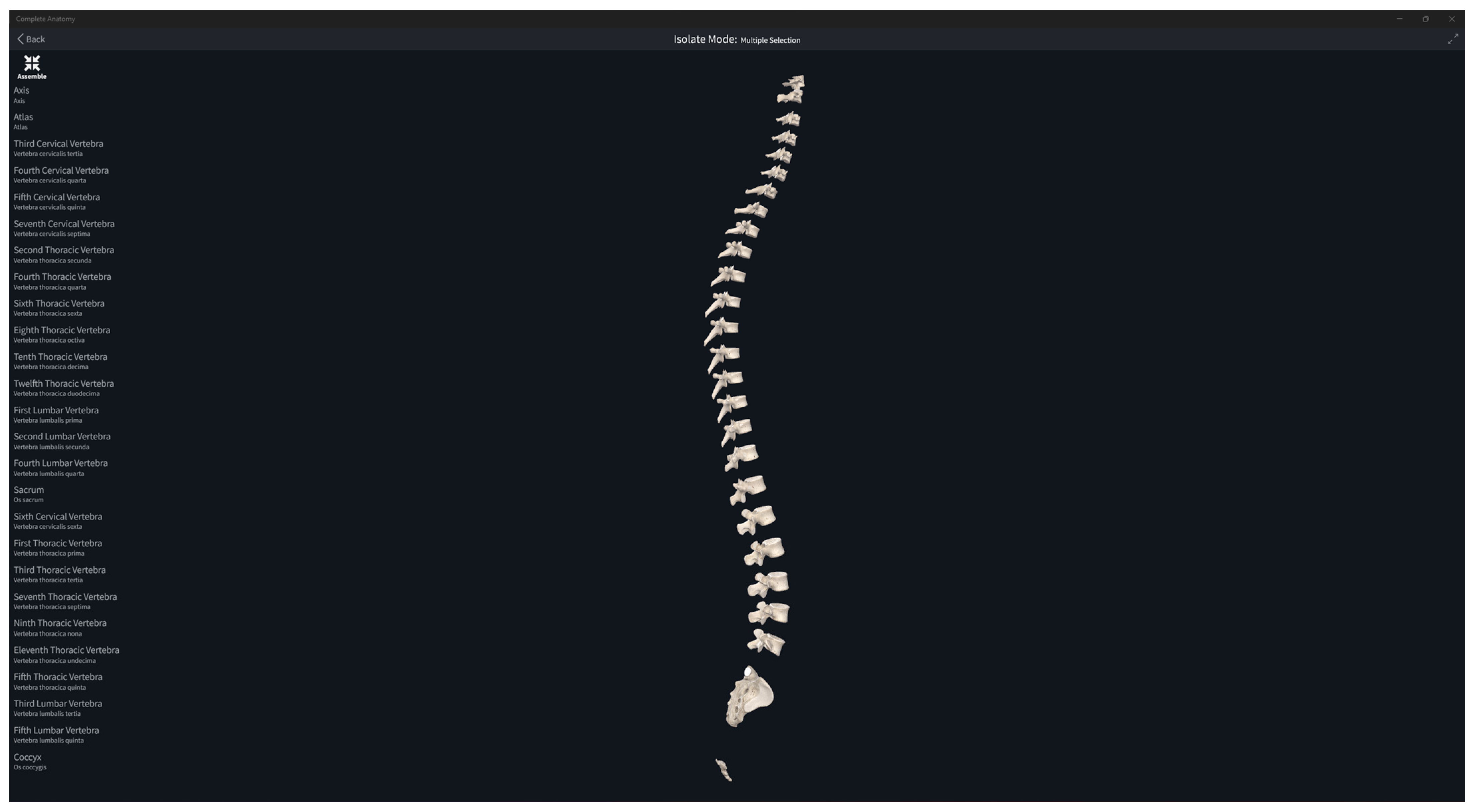 Diagnostics 14 00185 g002
