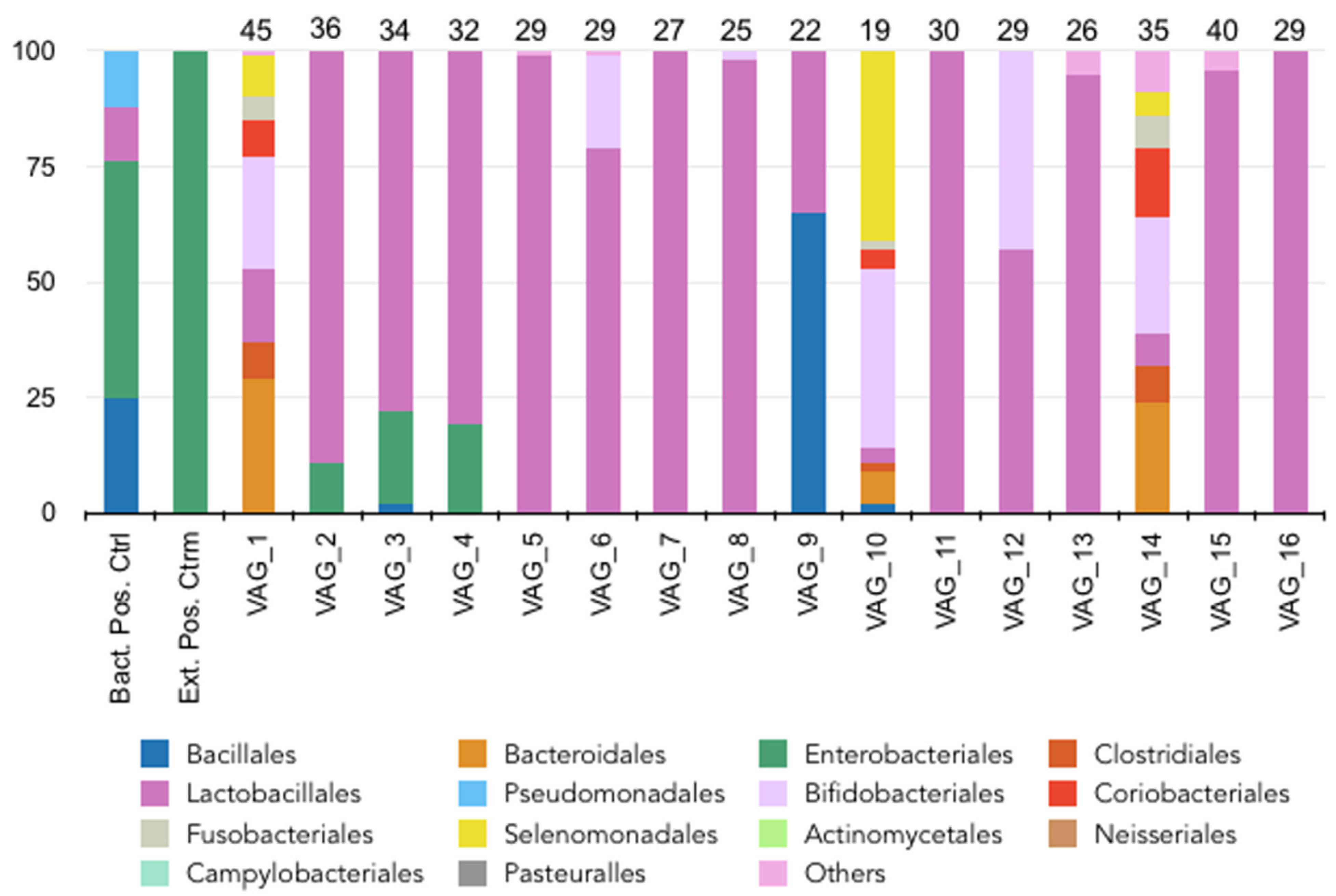 Diagnostics 14 00187 g003