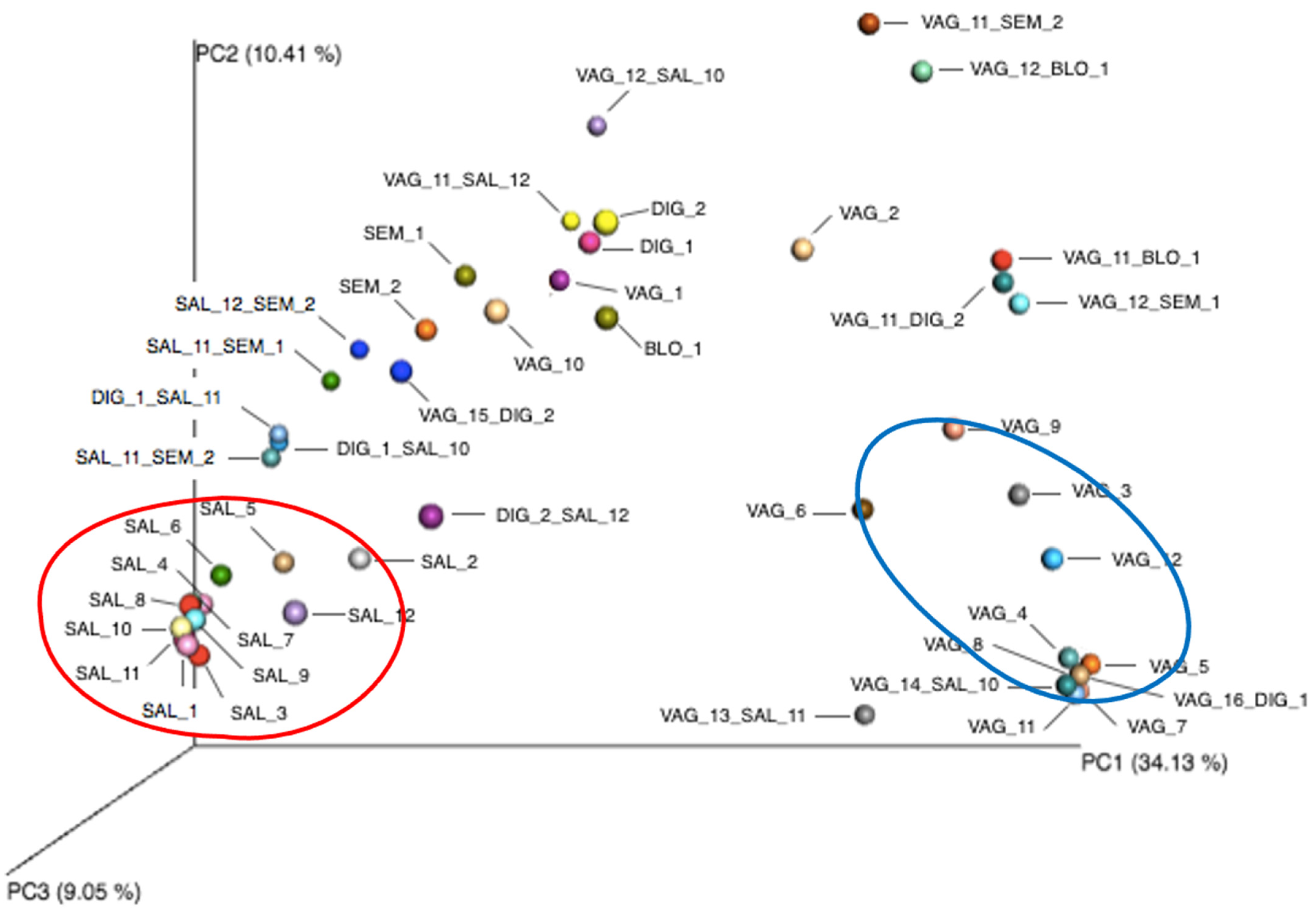 Diagnostics 14 00187 g006