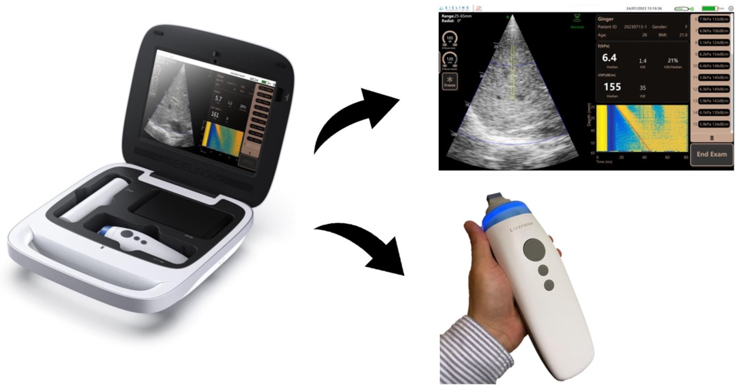 Diagnostics 14 00189 g001