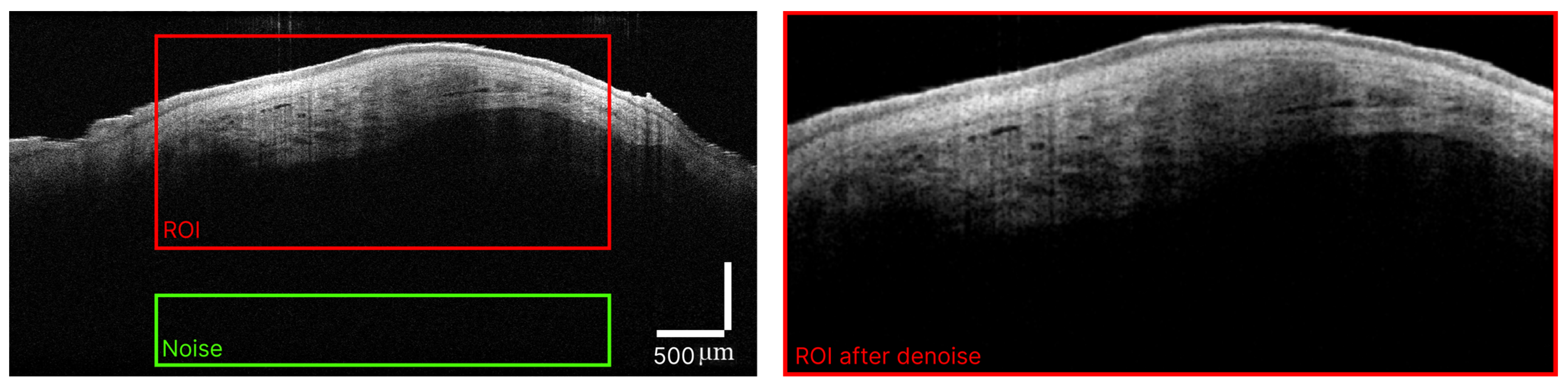 Diagnostics 14 00202 g002