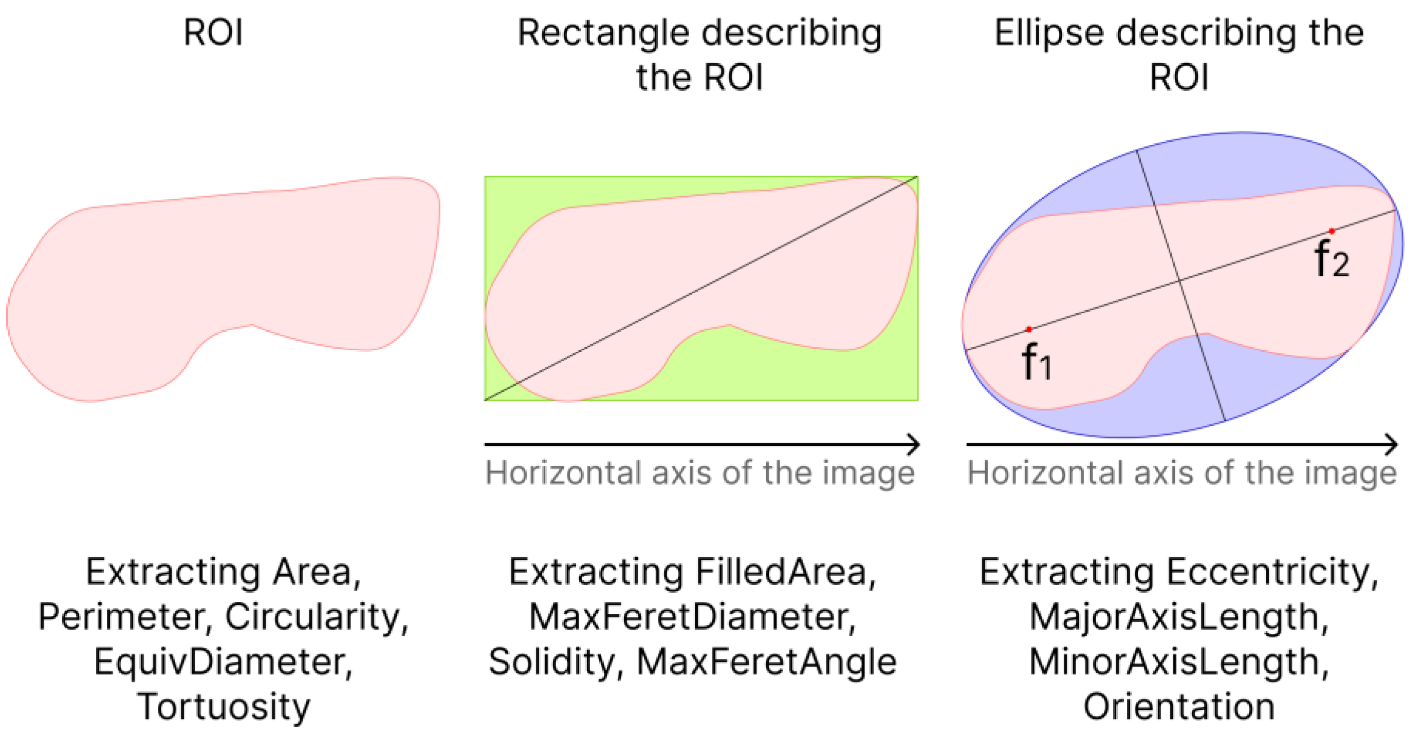 Diagnostics 14 00202 g003