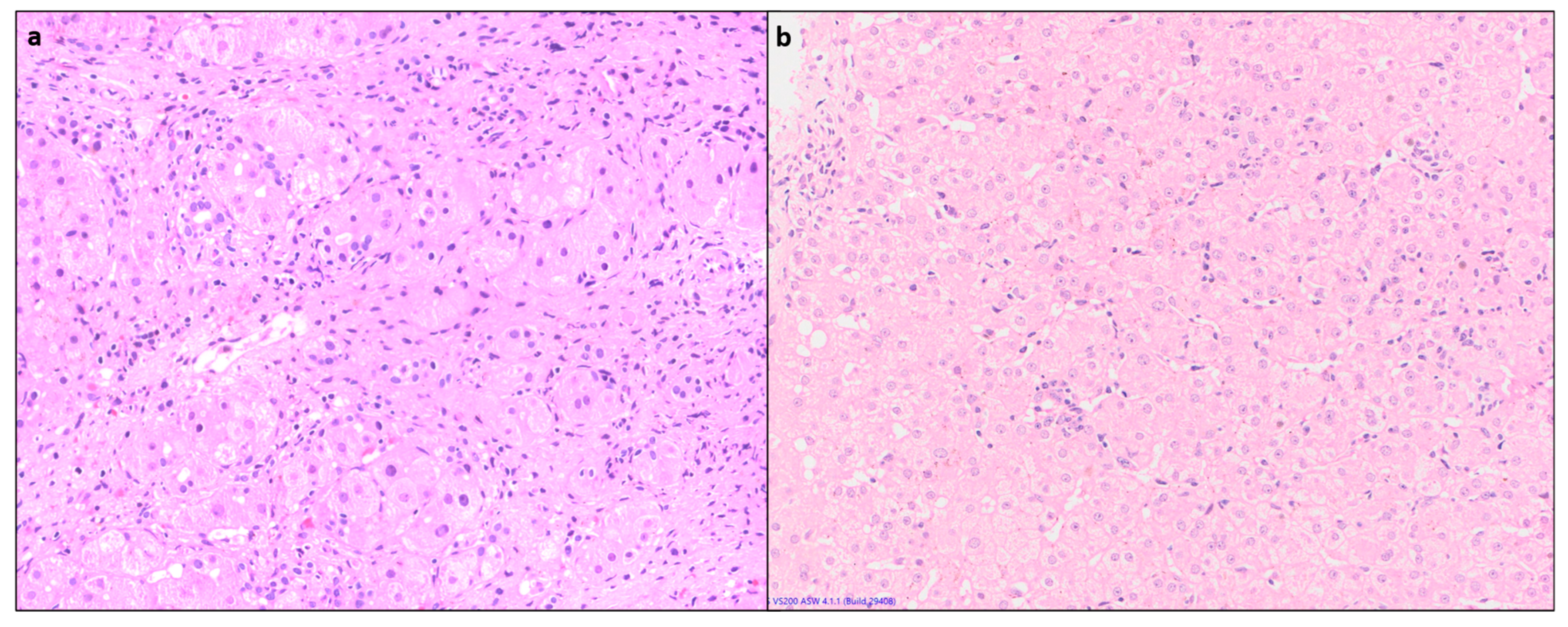 Diagnostics 14 00210 g002 Diagnostics 14 00210 g002