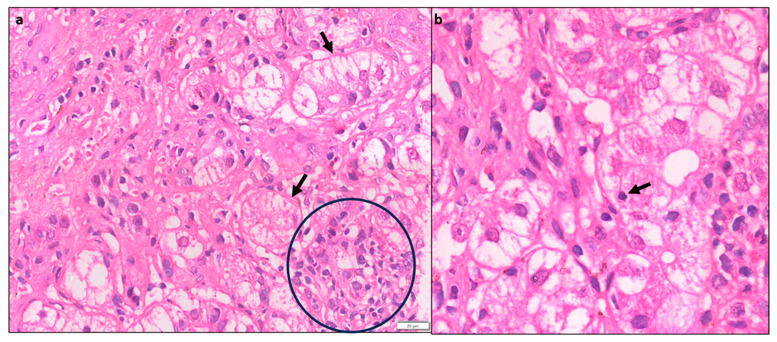 Diagnostics 14 00210 g005 Diagnostics 14 00210 g005
