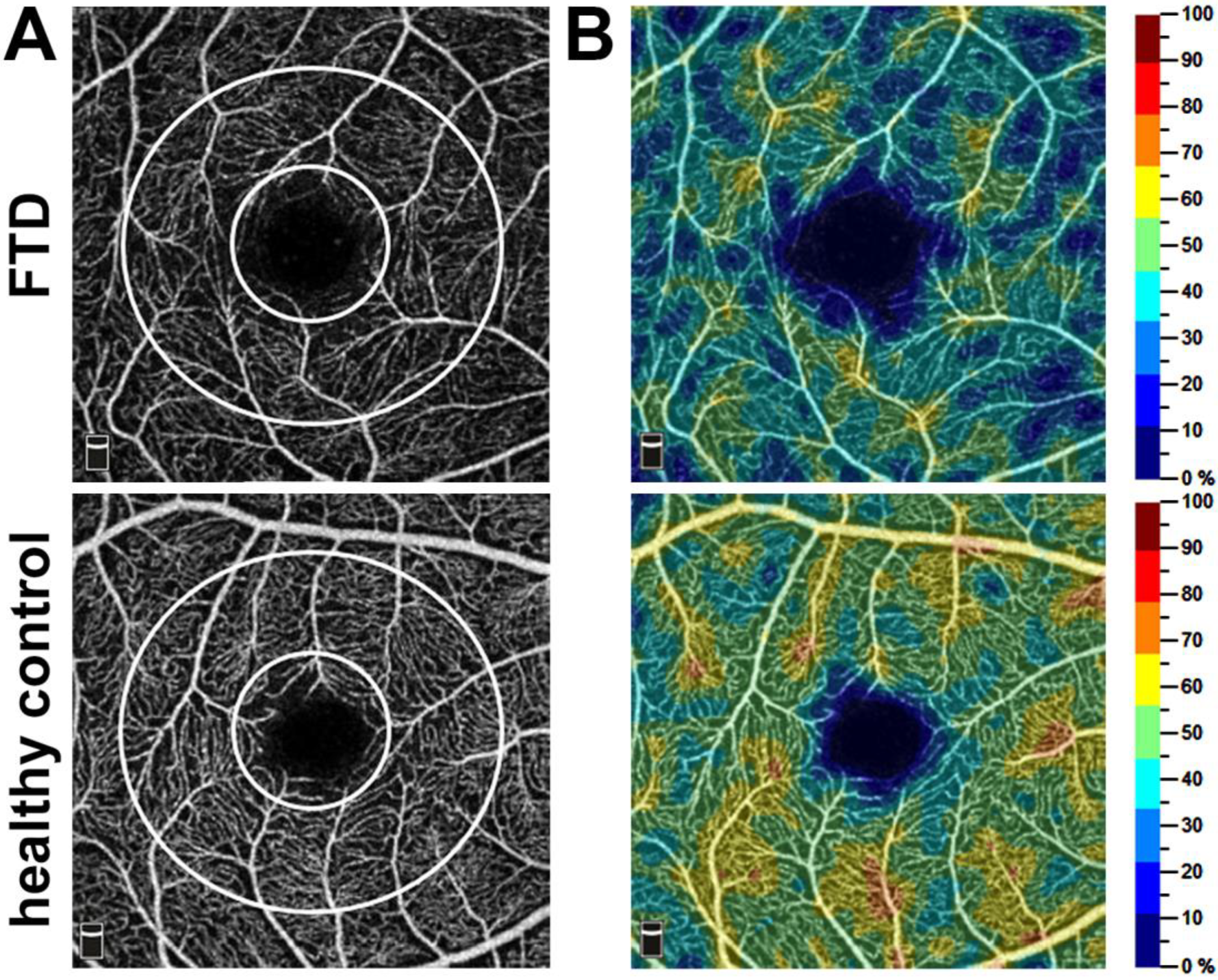 Diagnostics 14 00211 g001