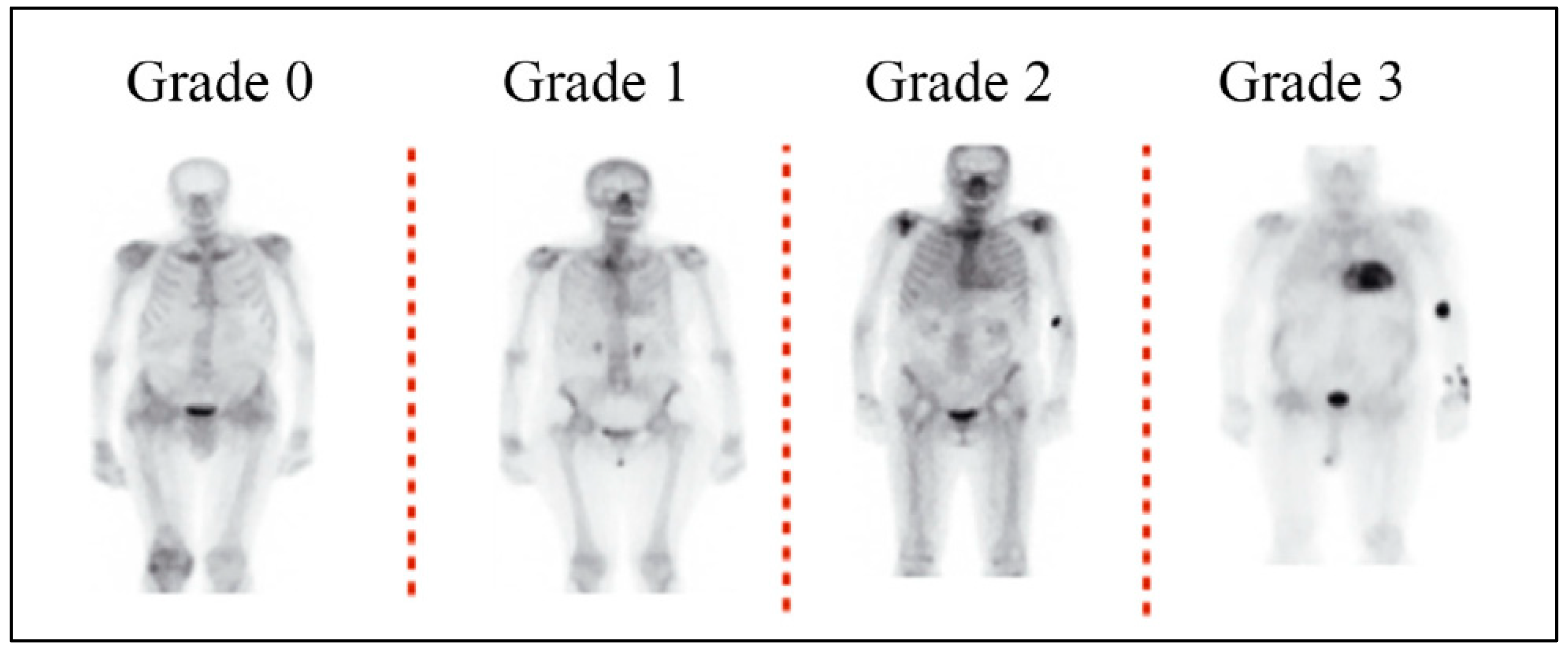Diagnostics 14 00212 g002