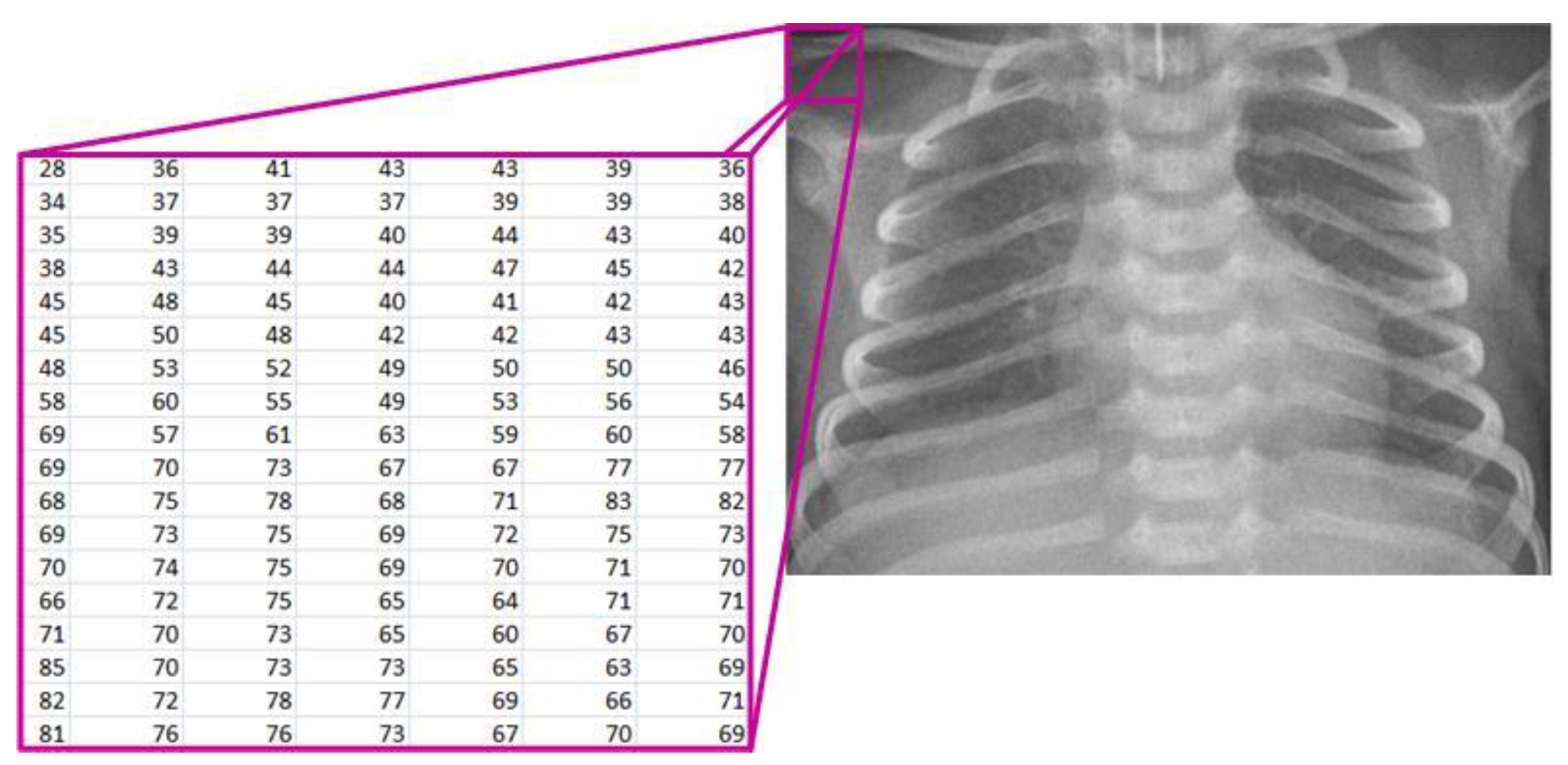 Diagnostics 14 00214 g002