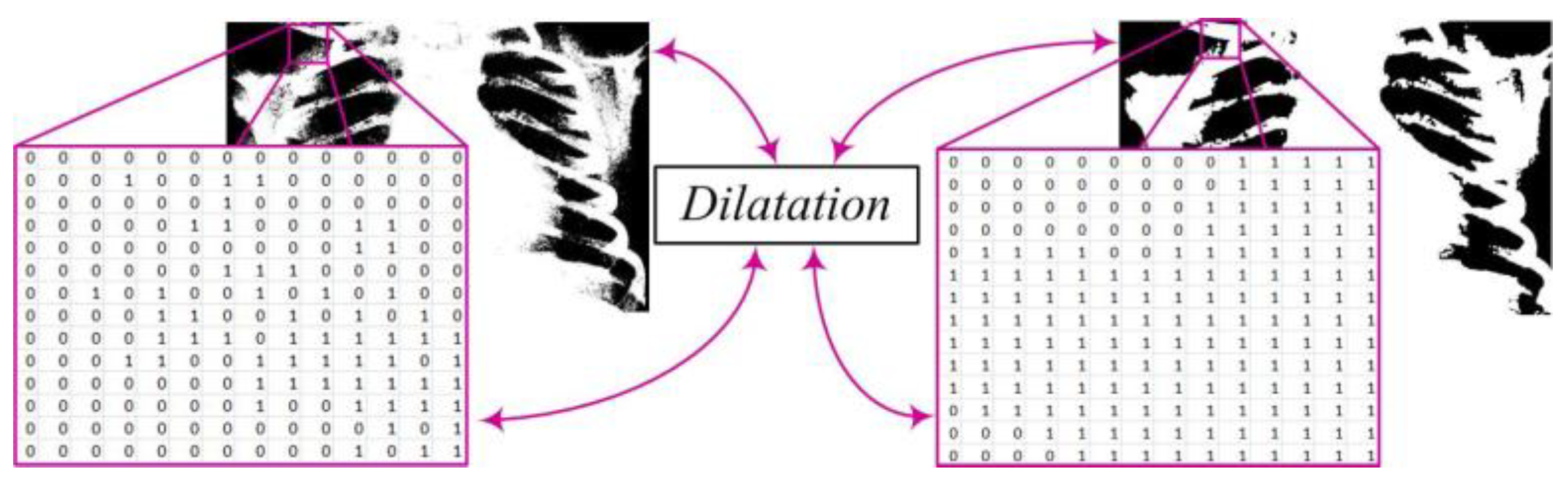 Diagnostics 14 00214 g004