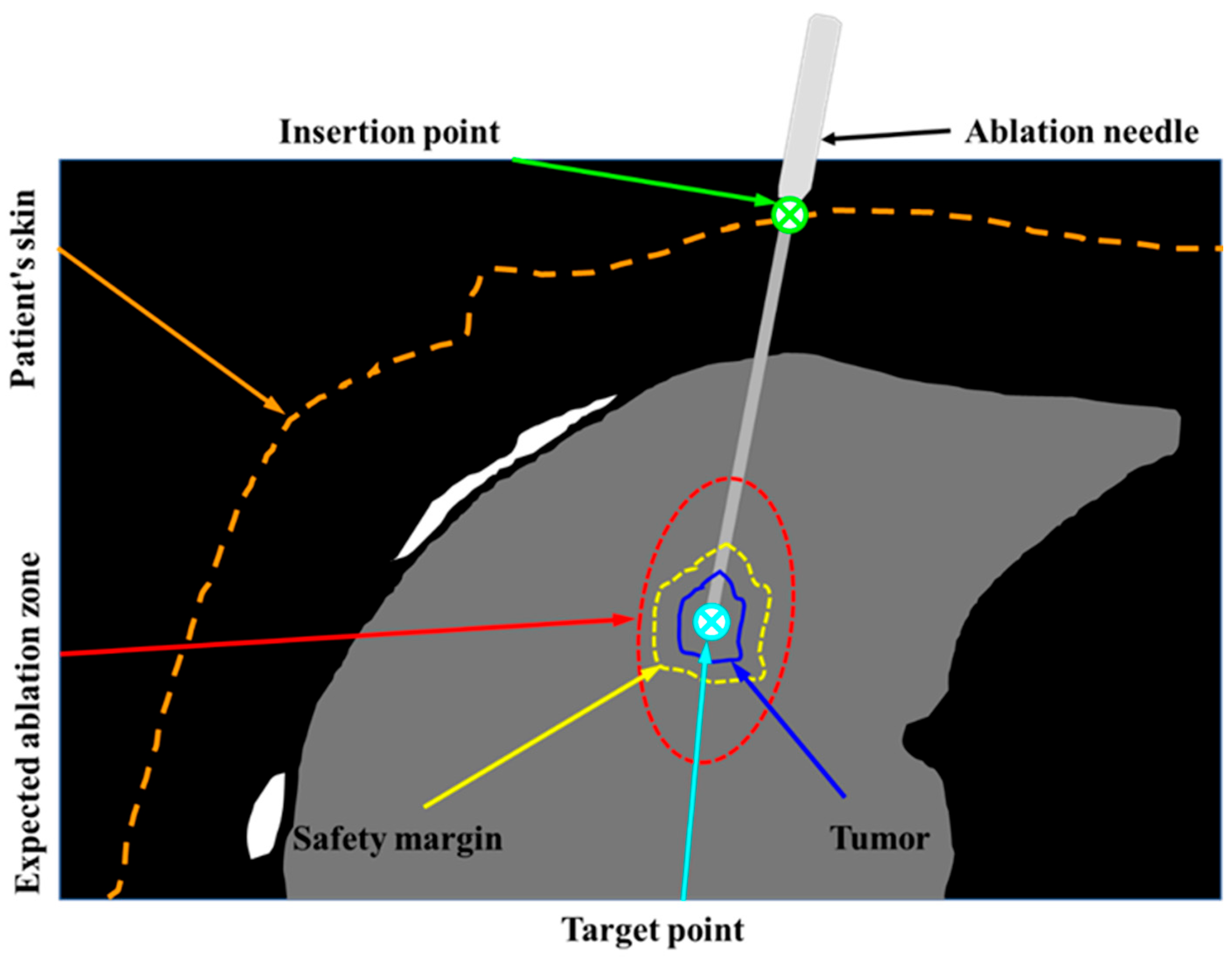 Diagnostics 14 00215 g001