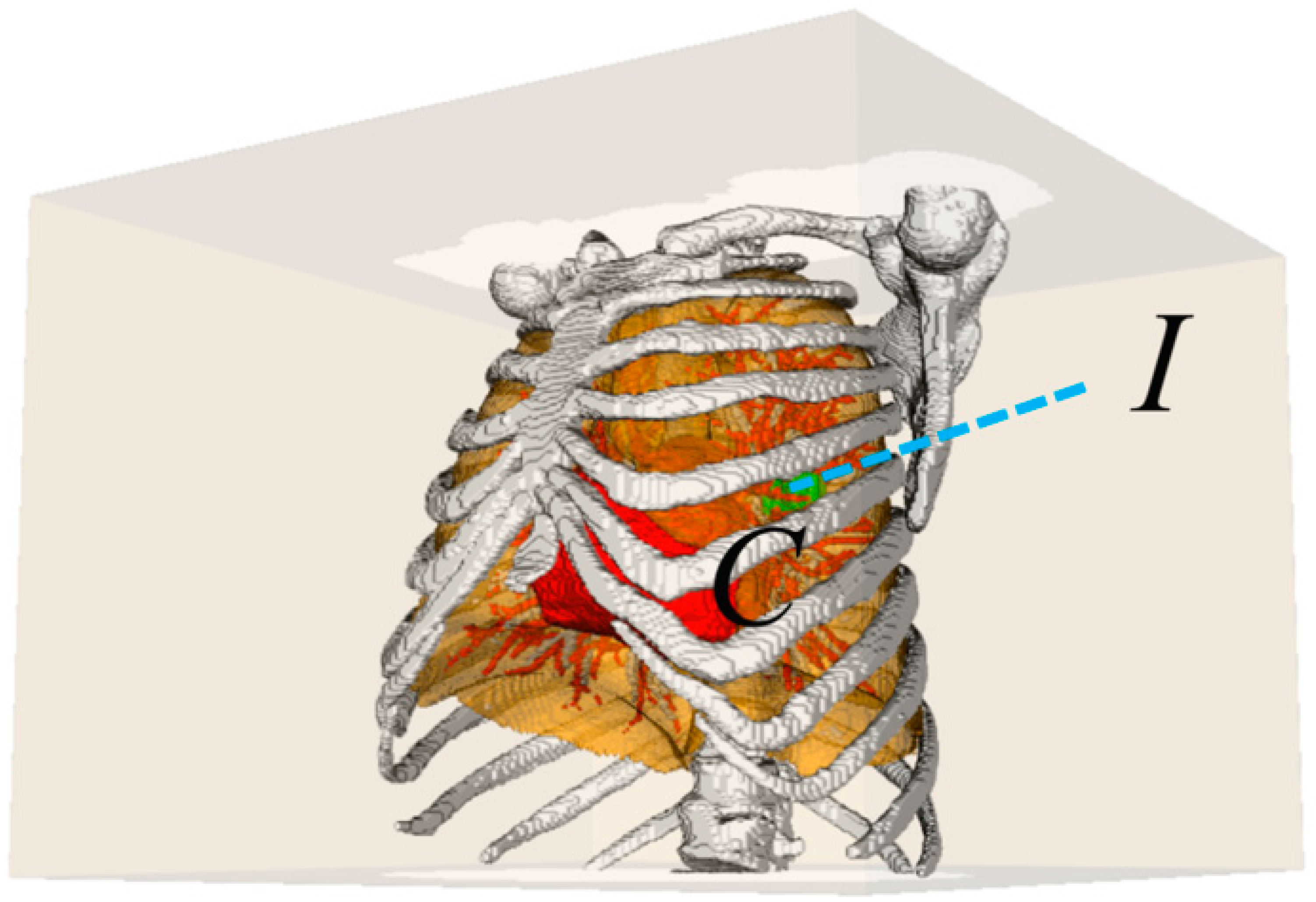 Diagnostics 14 00215 g003