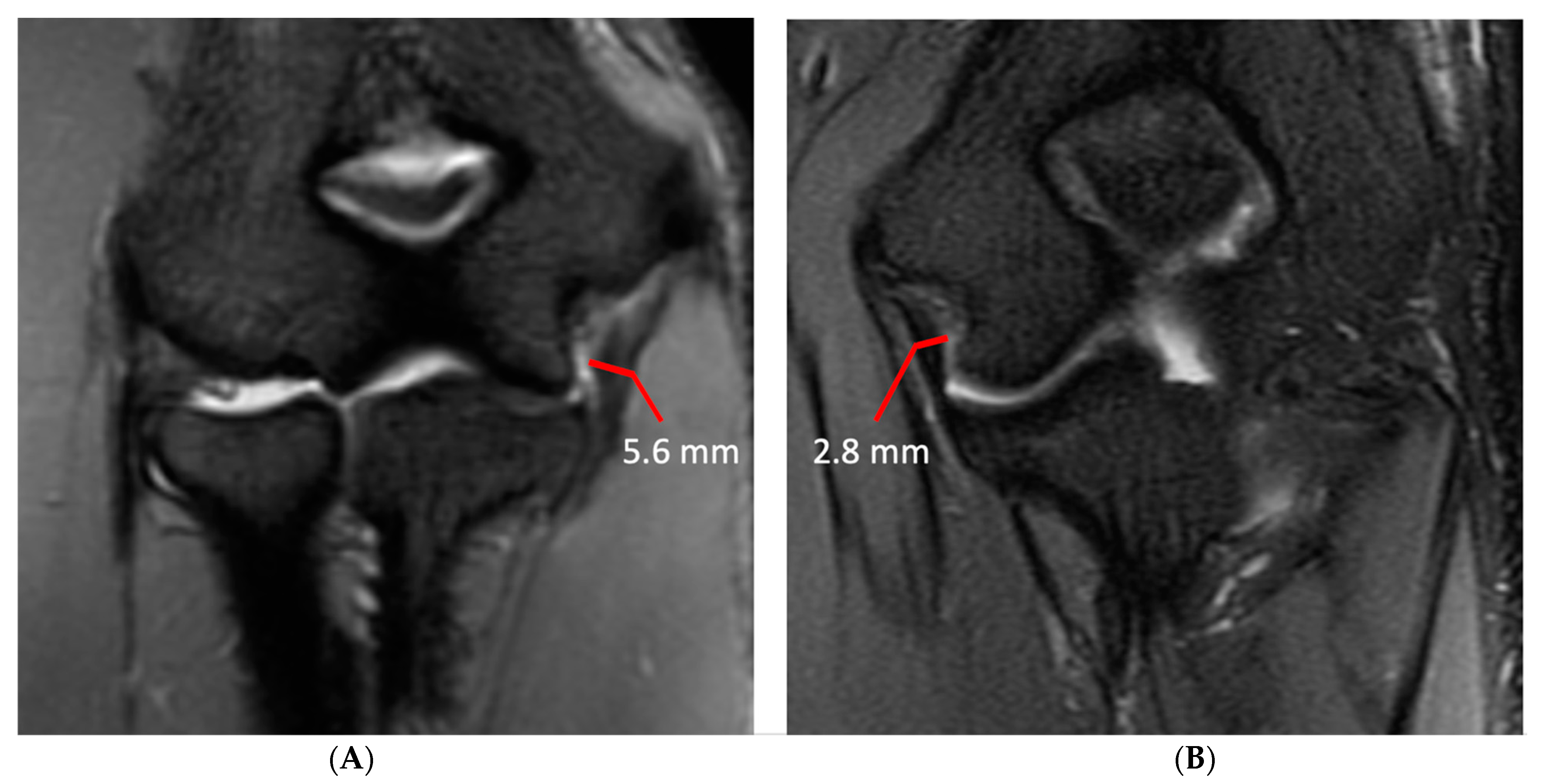 Diagnostics 14 00217 g001