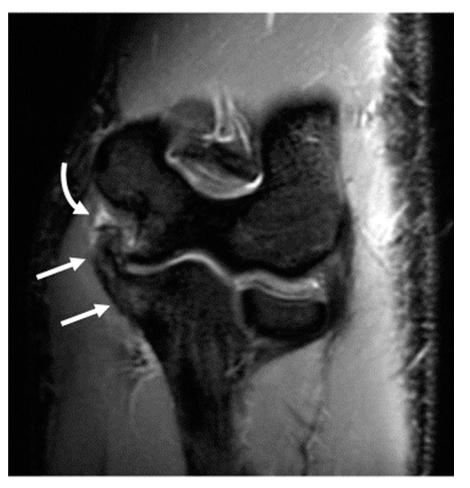 Diagnostics 14 00217 g007