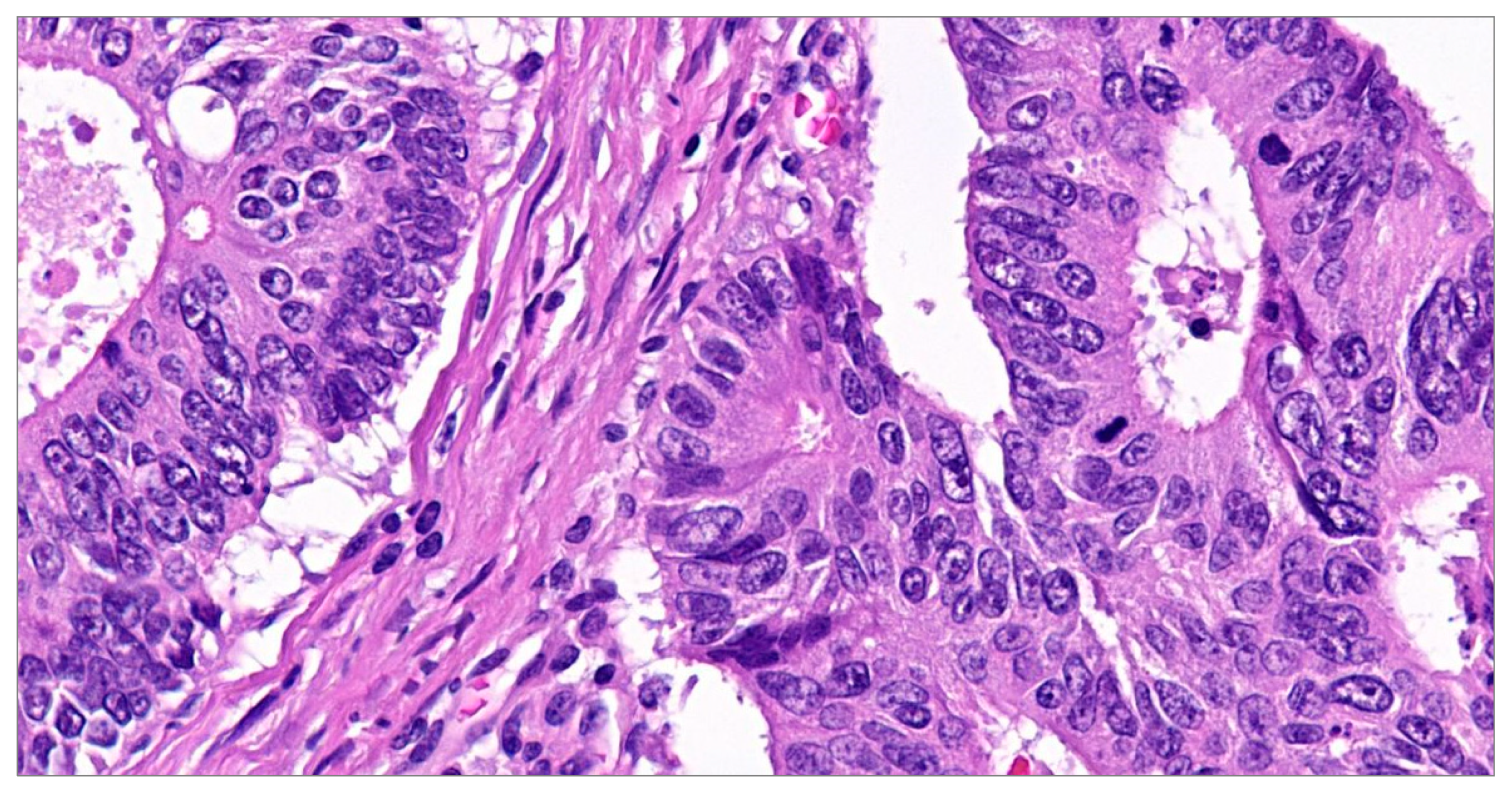 Diagnostics 14 00220 g002