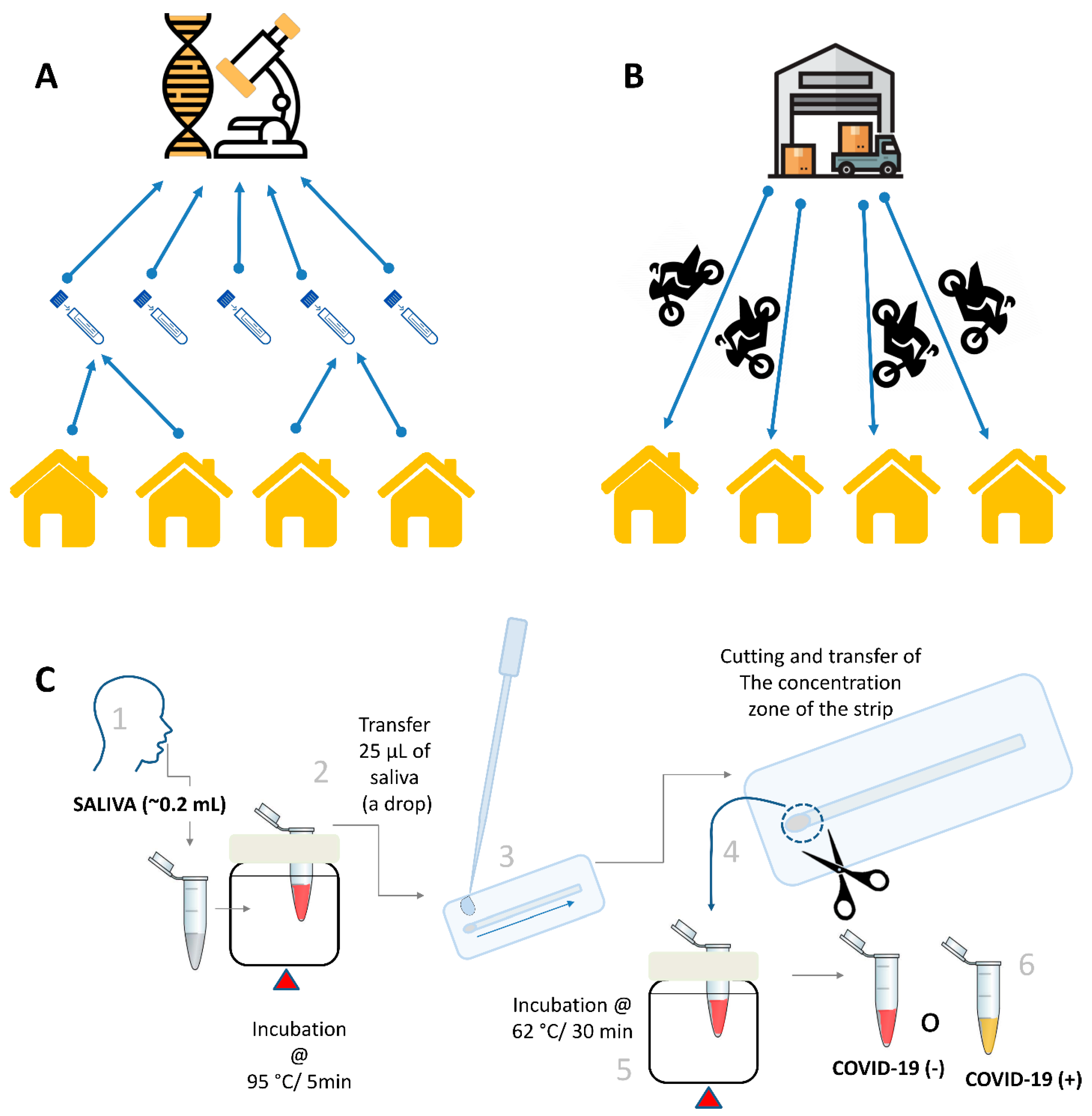 Diagnostics 14 00221 g001