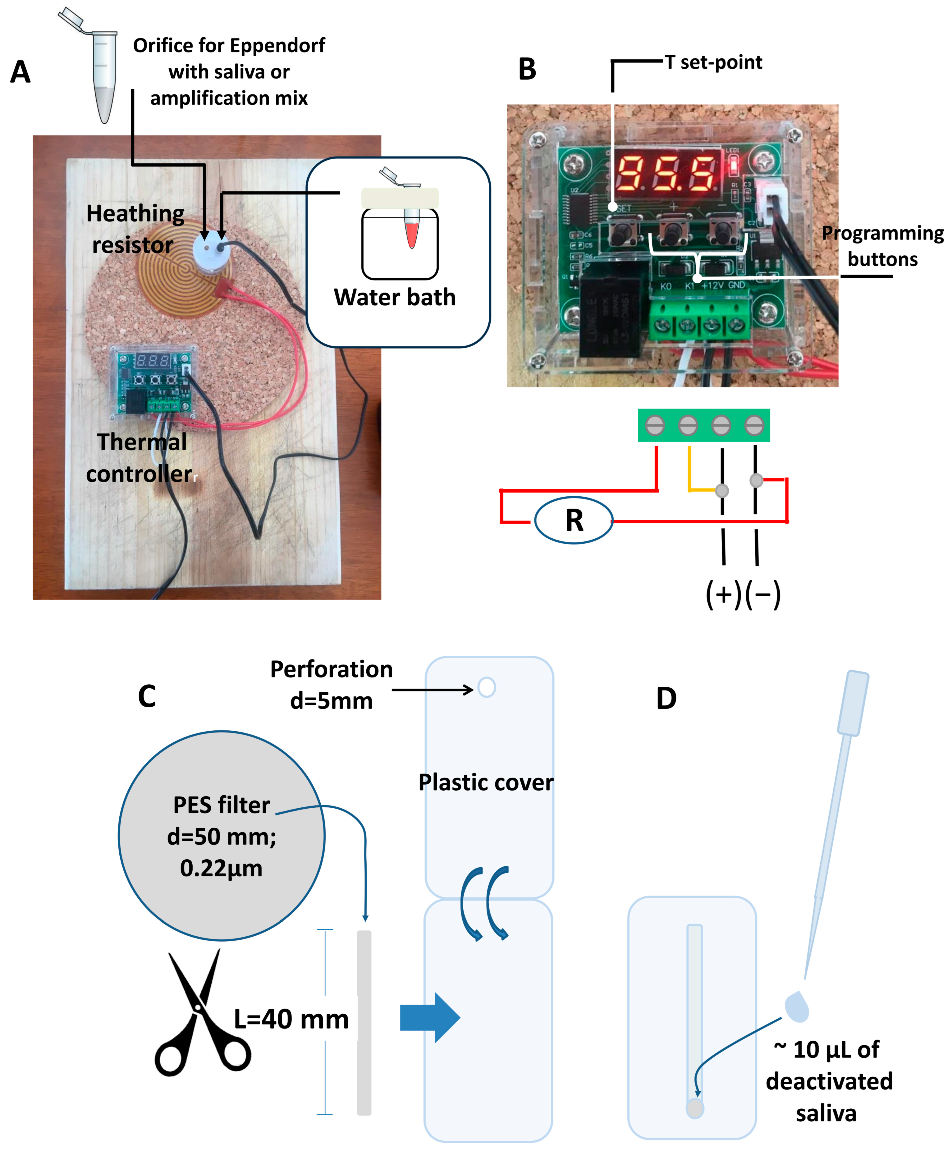 Diagnostics 14 00221 g002