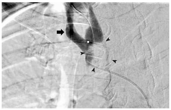 Diagnostics 14 00223 g002