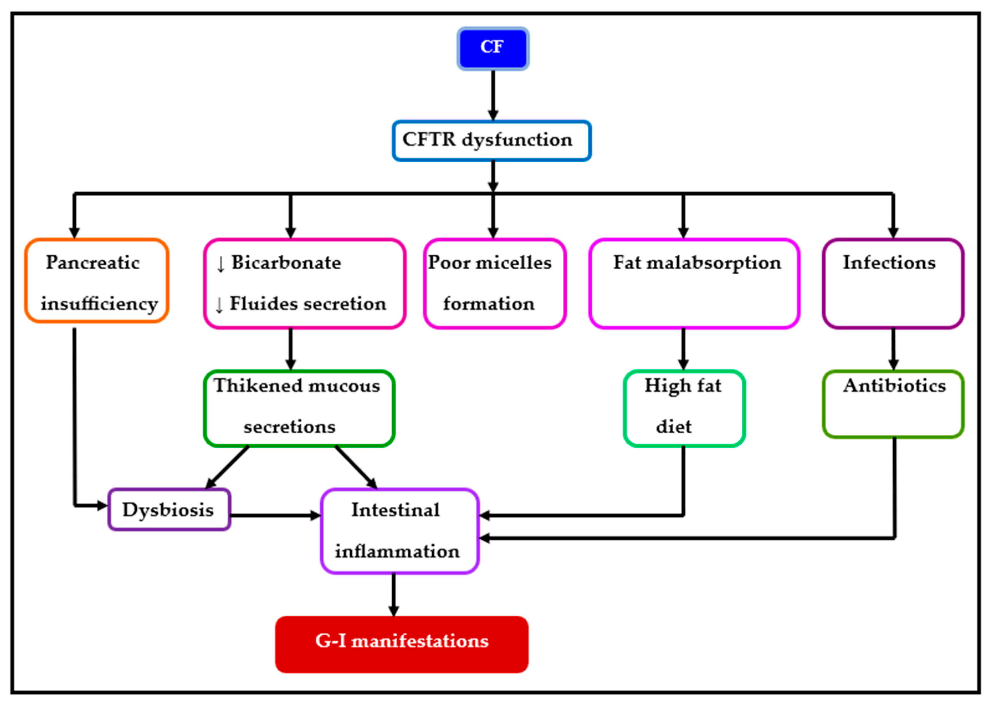 Diagnostics 14 00228 g002