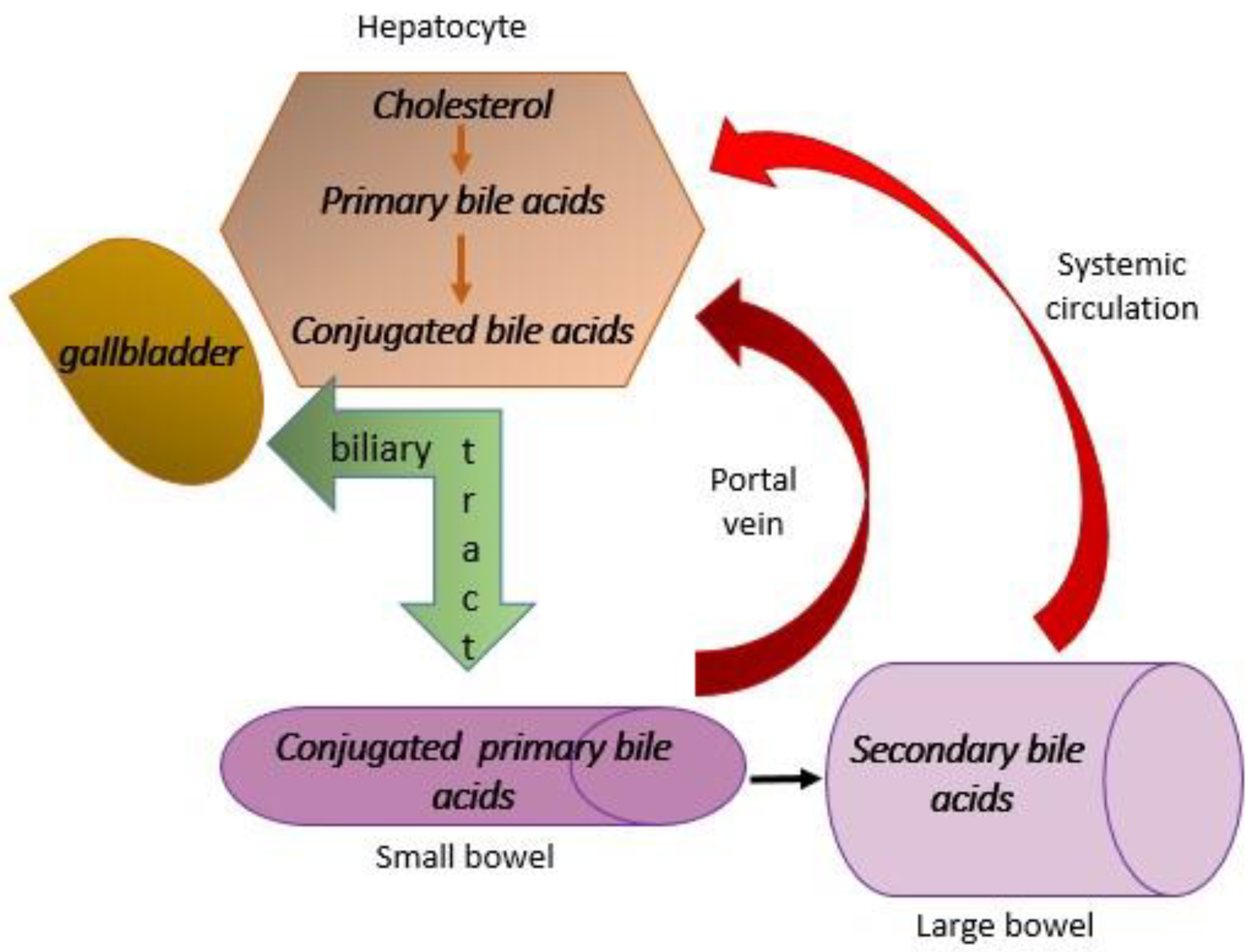 Diagnostics 14 00229 g002