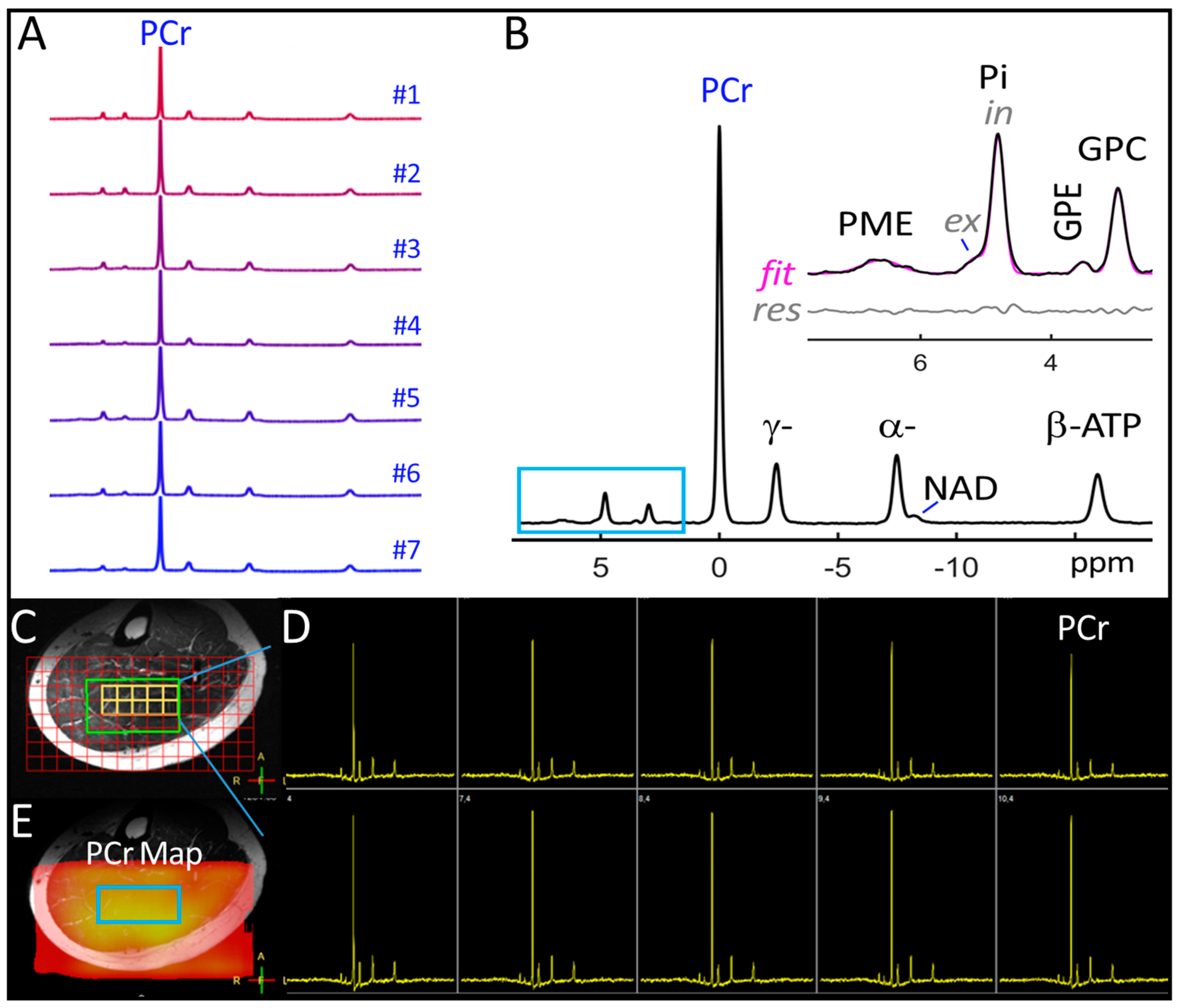 Diagnostics 14 00235 g001