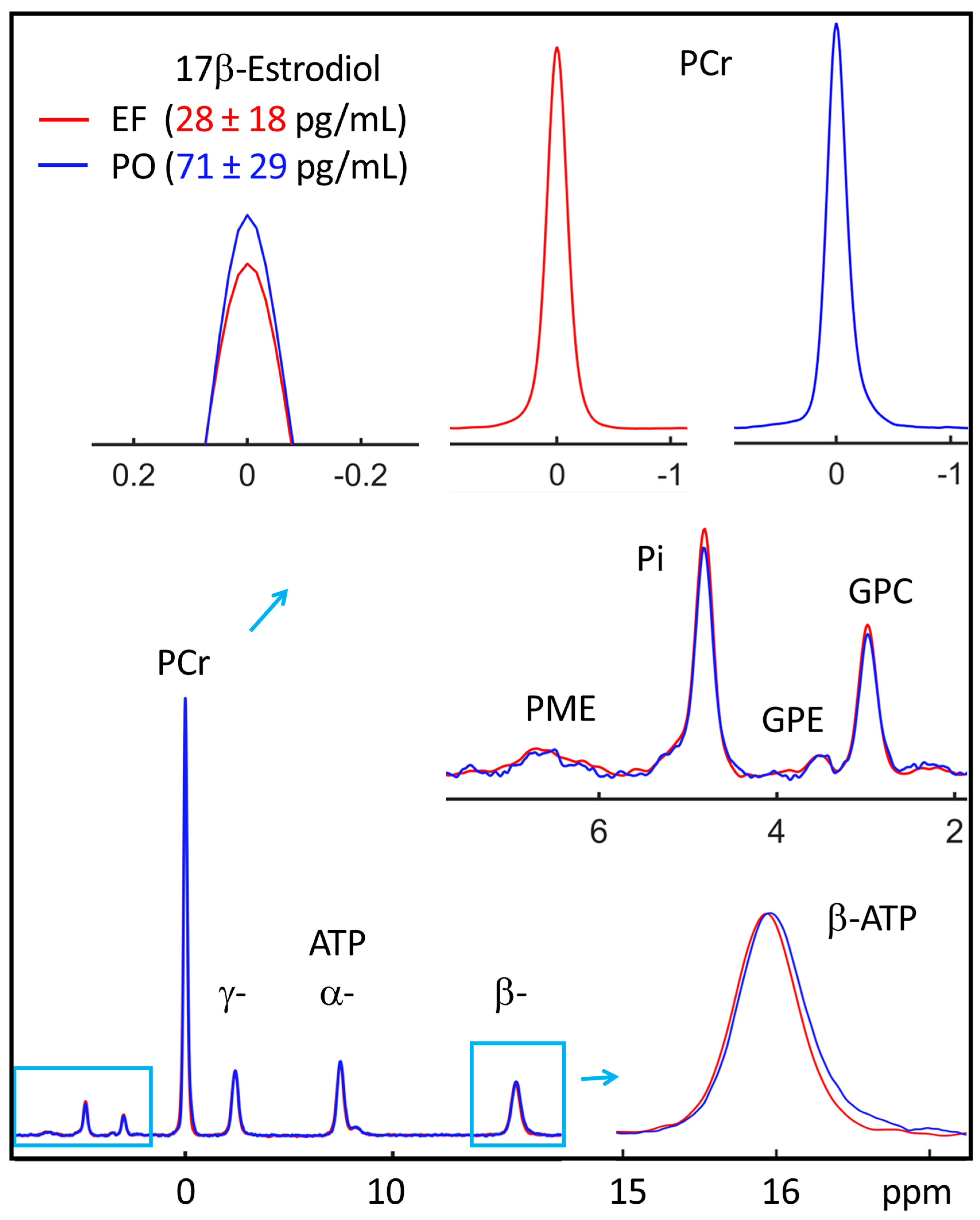 Diagnostics 14 00235 g002