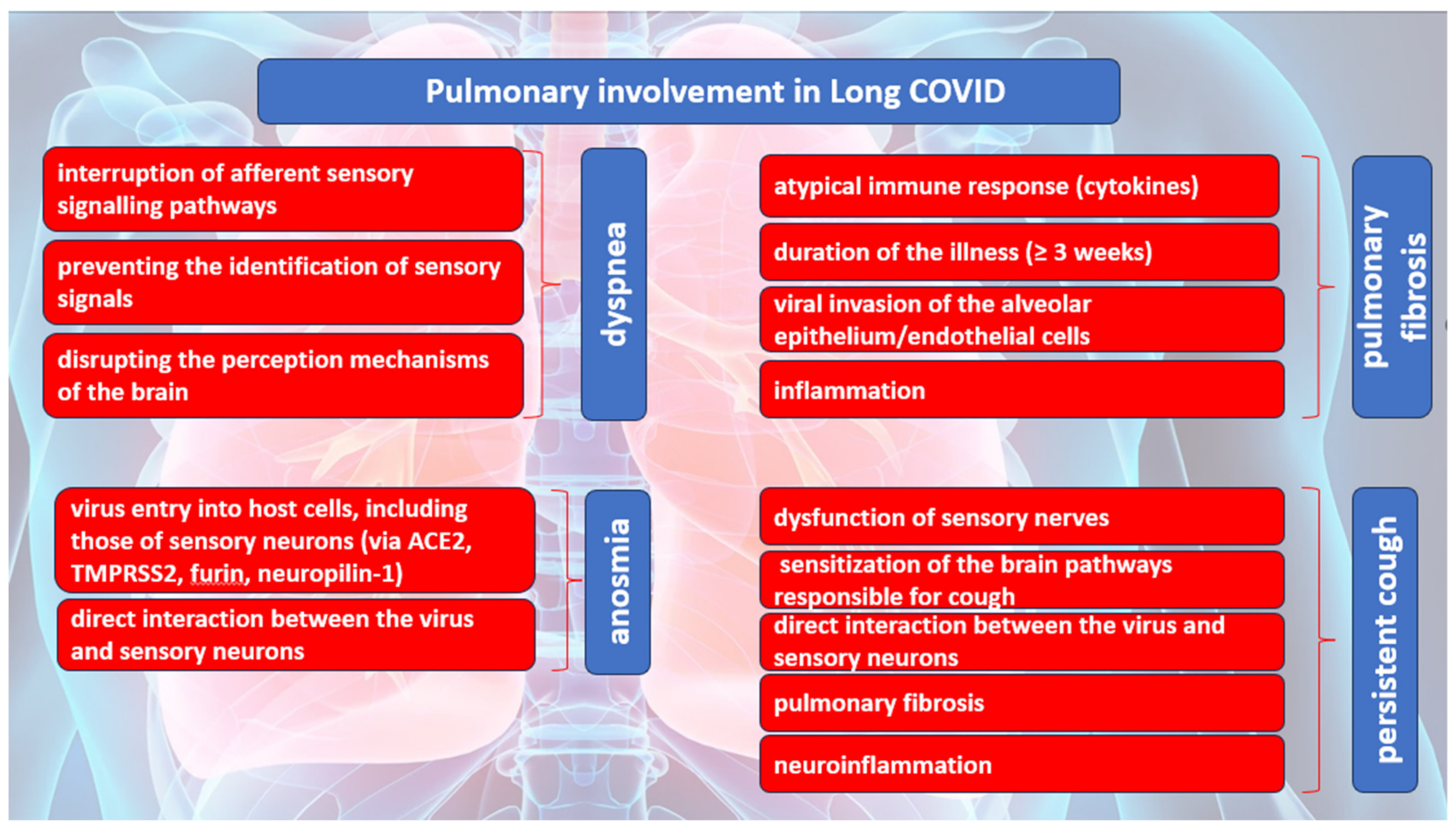 Diagnostics 14 00244 g002