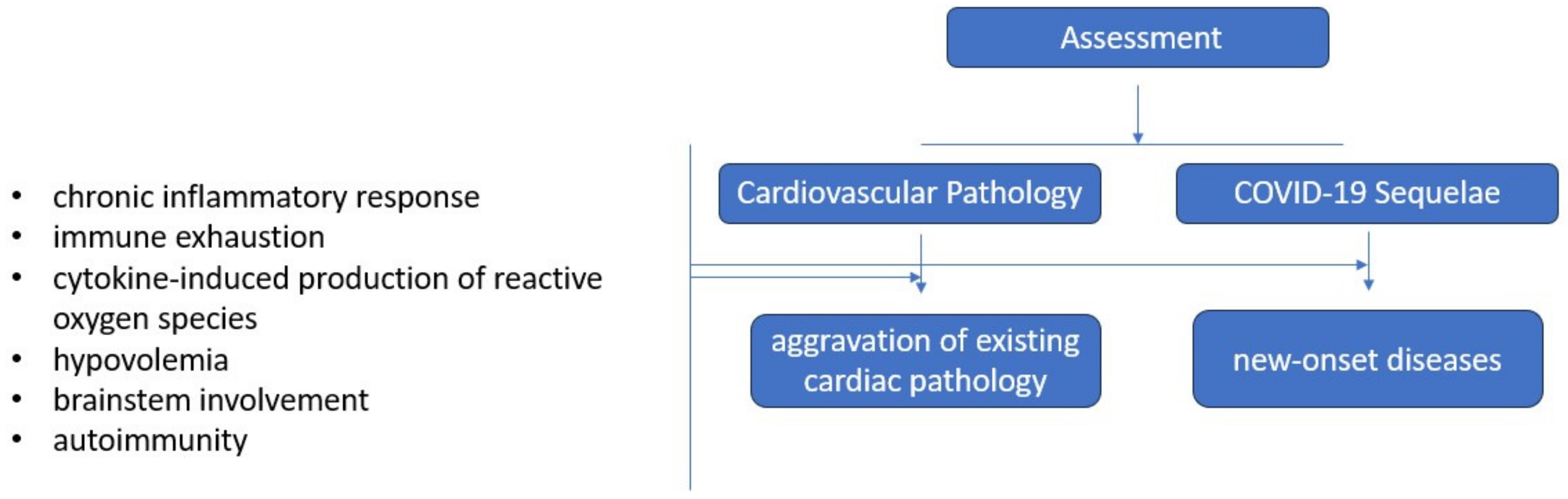 Diagnostics 14 00244 g003