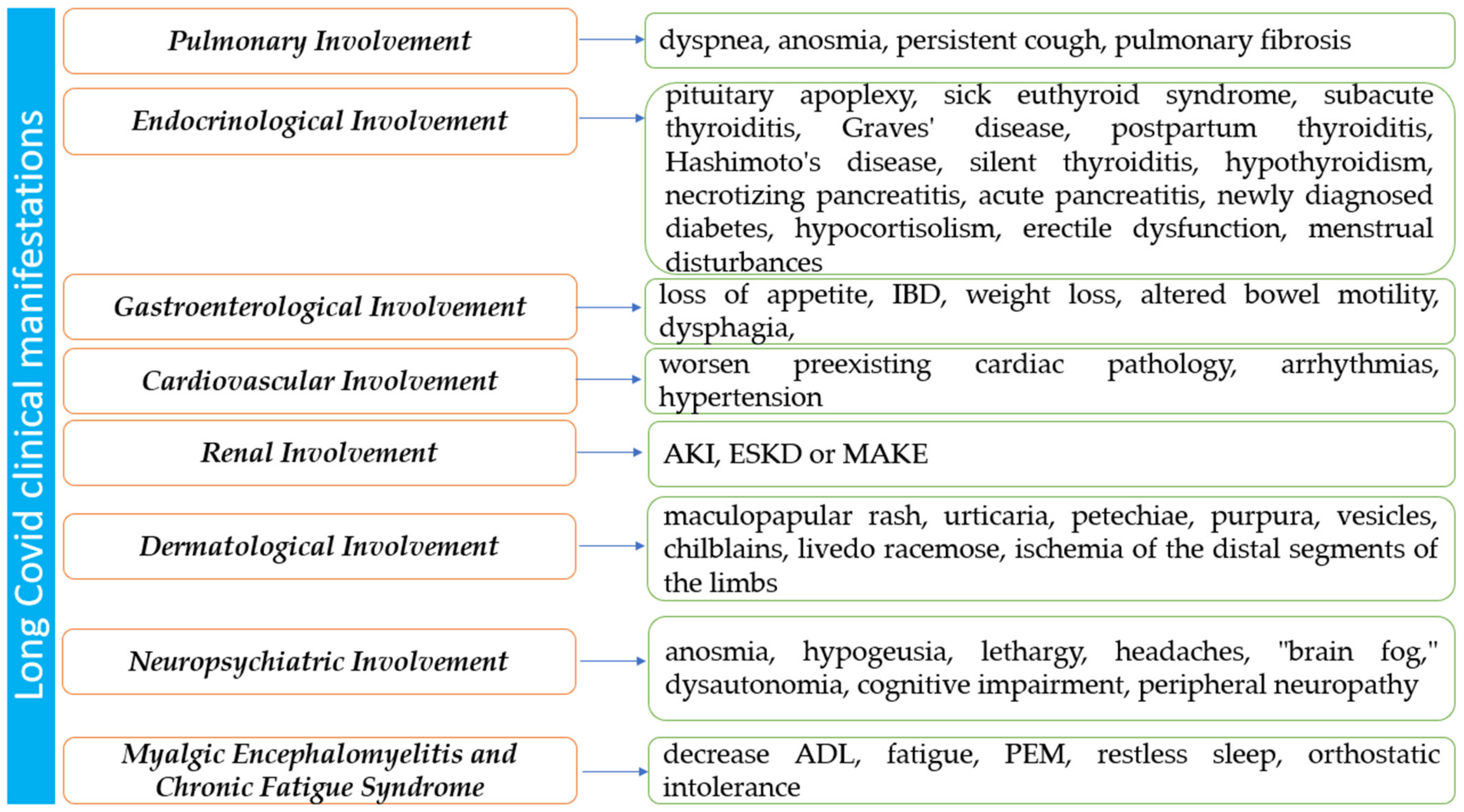 Diagnostics 14 00244 g006