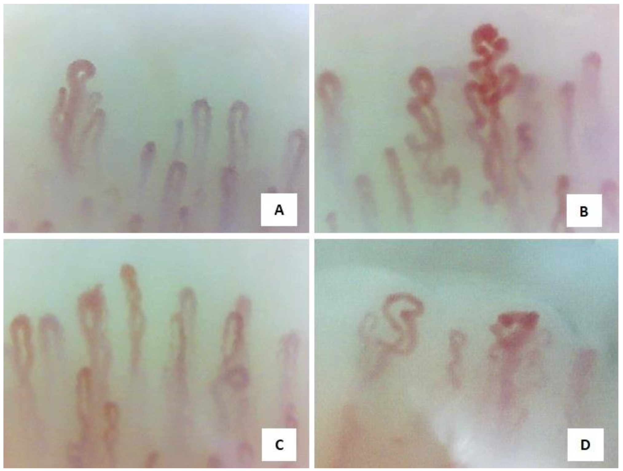 Diagnostics 14 00254 g001
