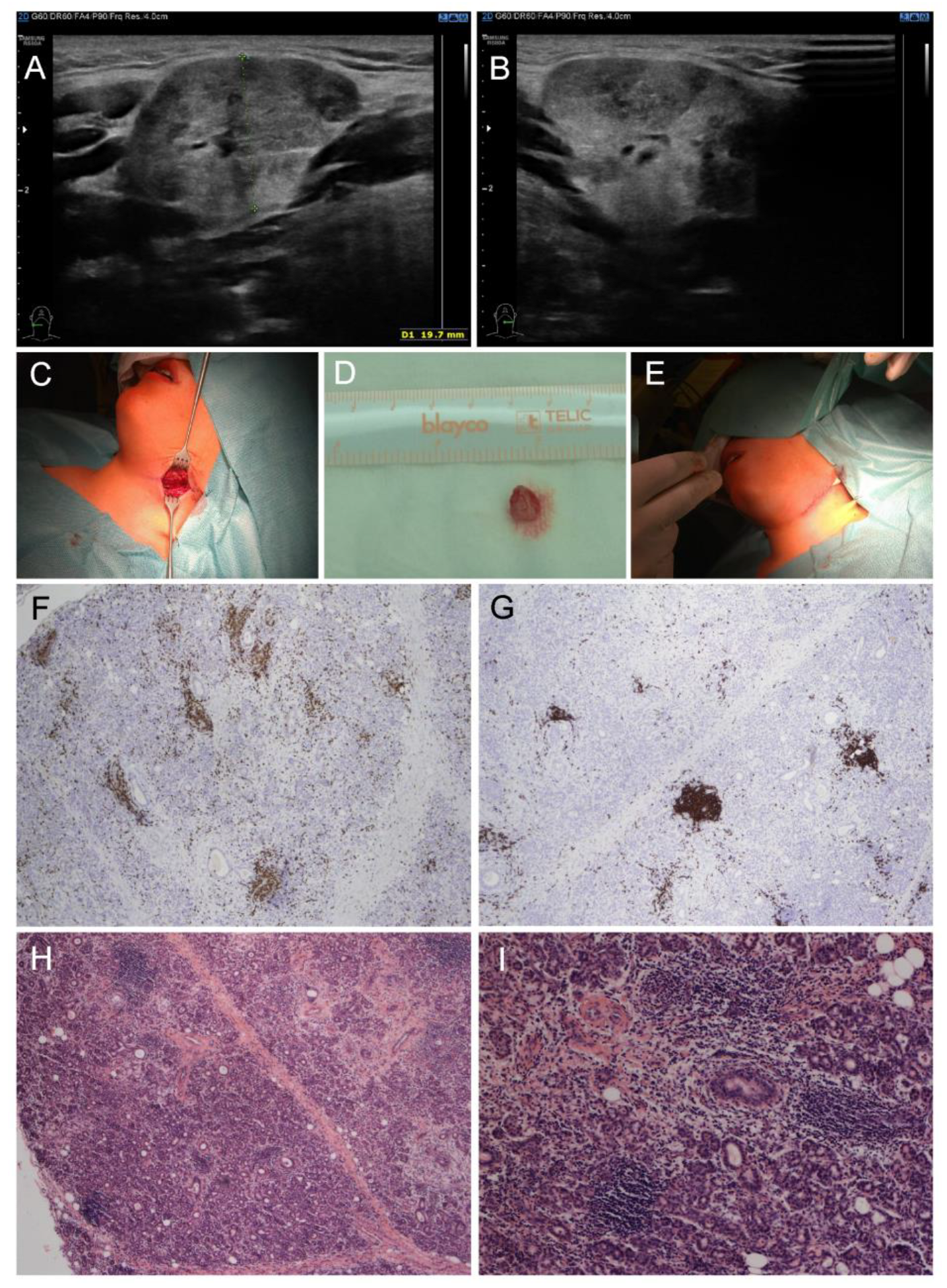 Diagnostics 14 00258 g001